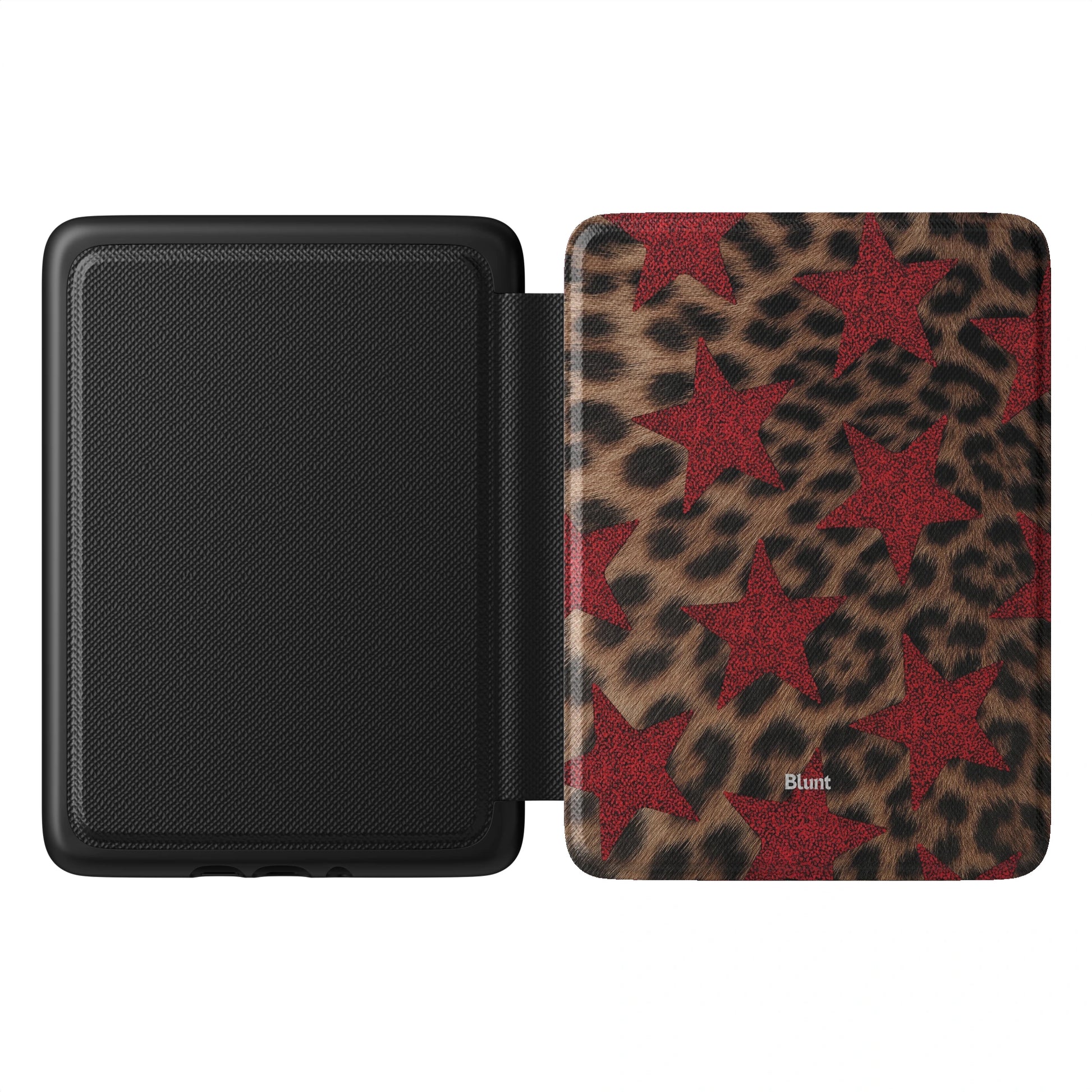 Kindle_Standard_1