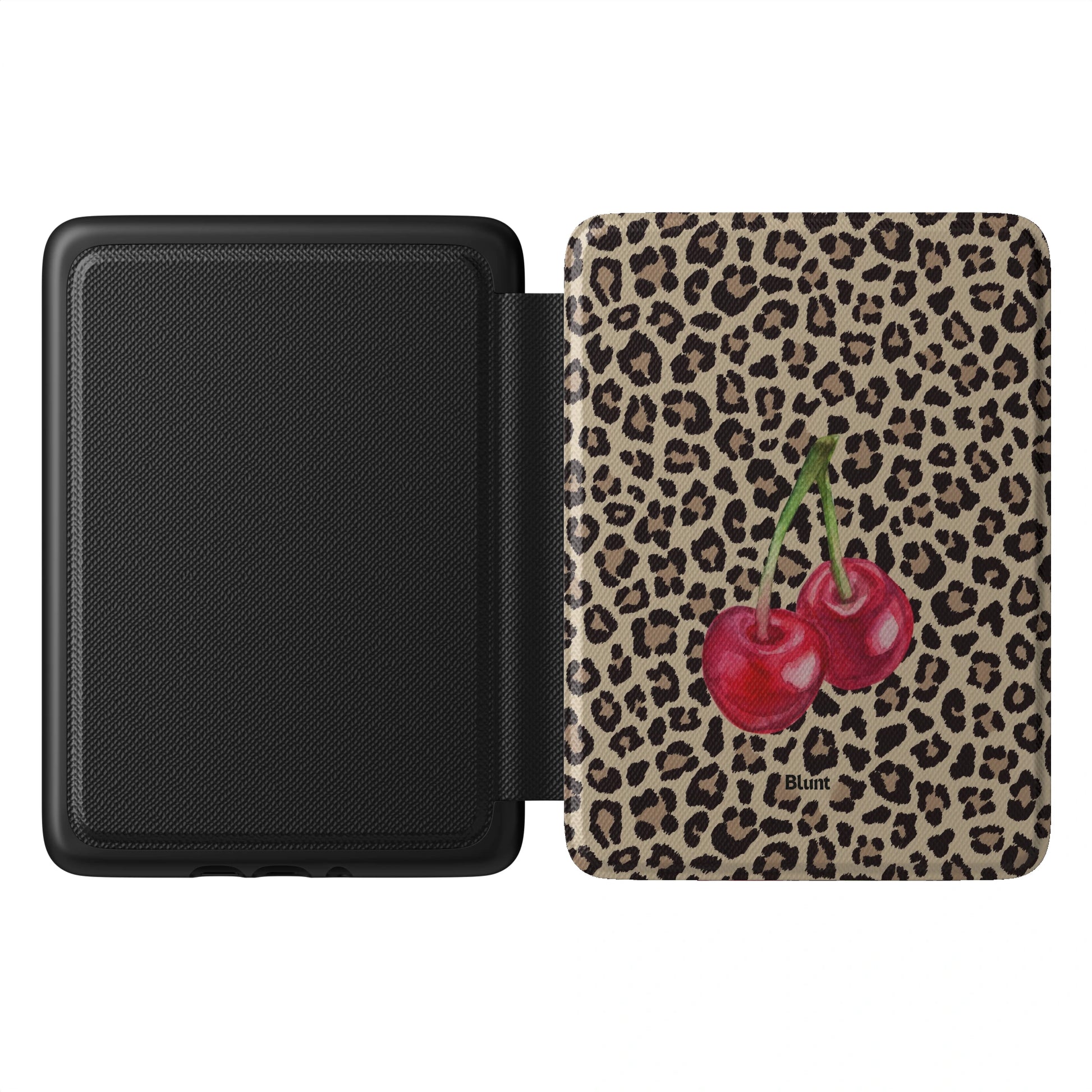 Kindle_Standard_1
