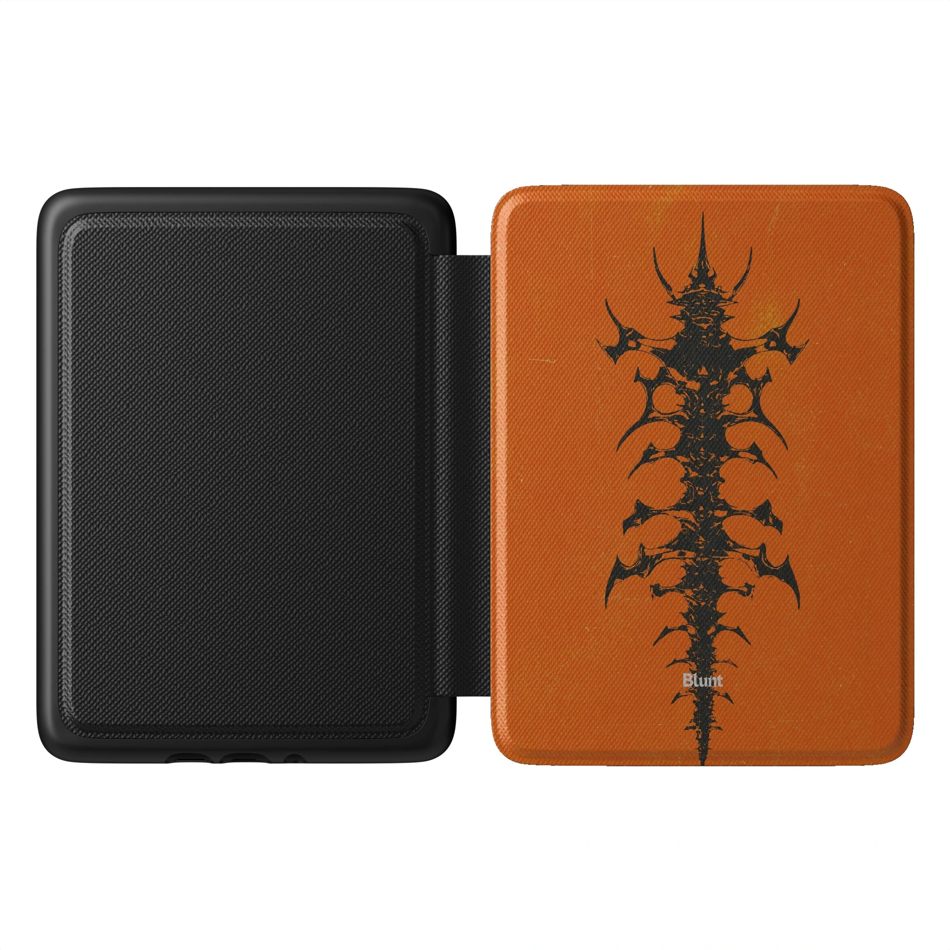 Kindle_Standard_1
