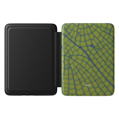Kindle_Standard_1