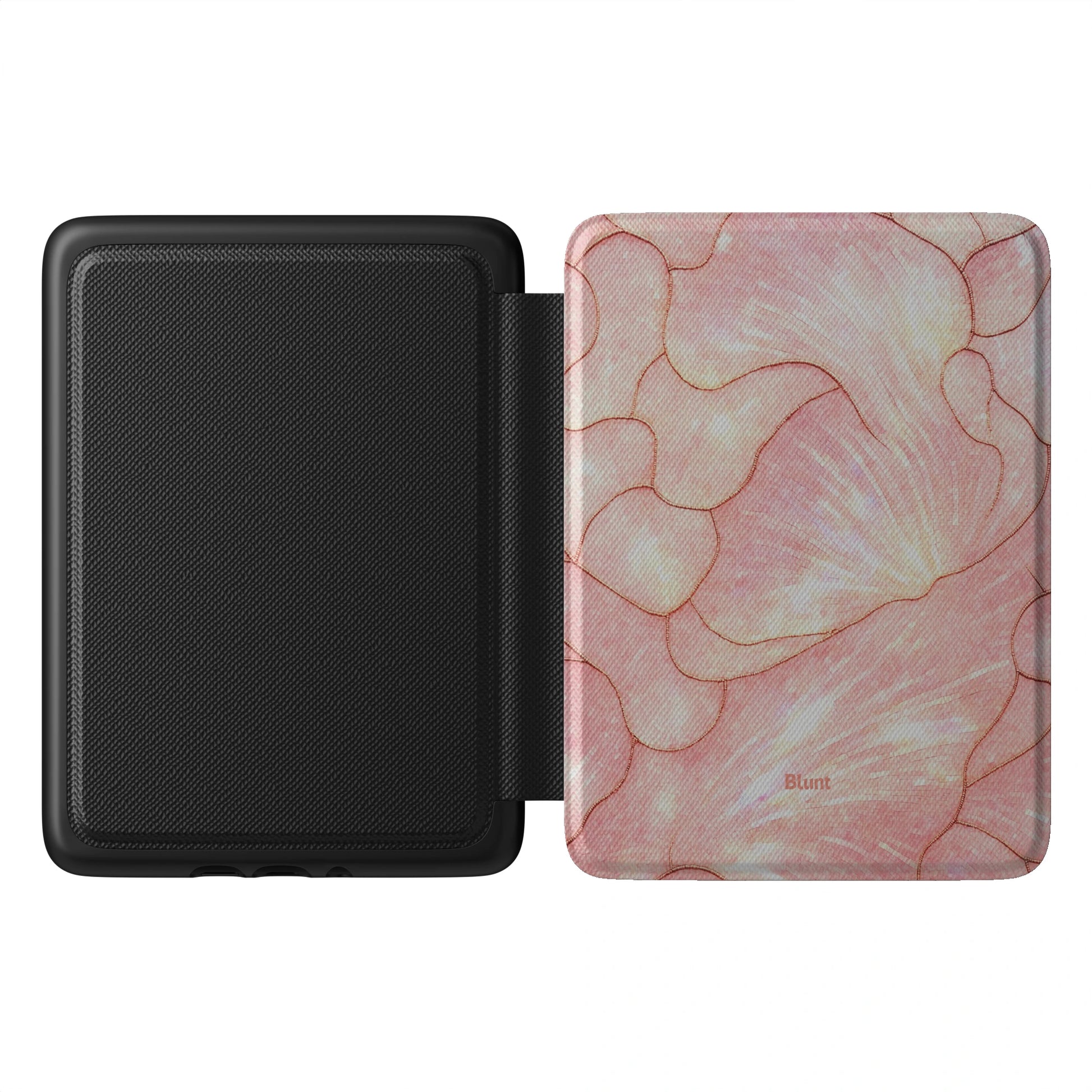 Kindle_Standard_1