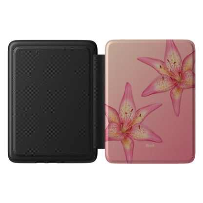 Kindle_Standard_1