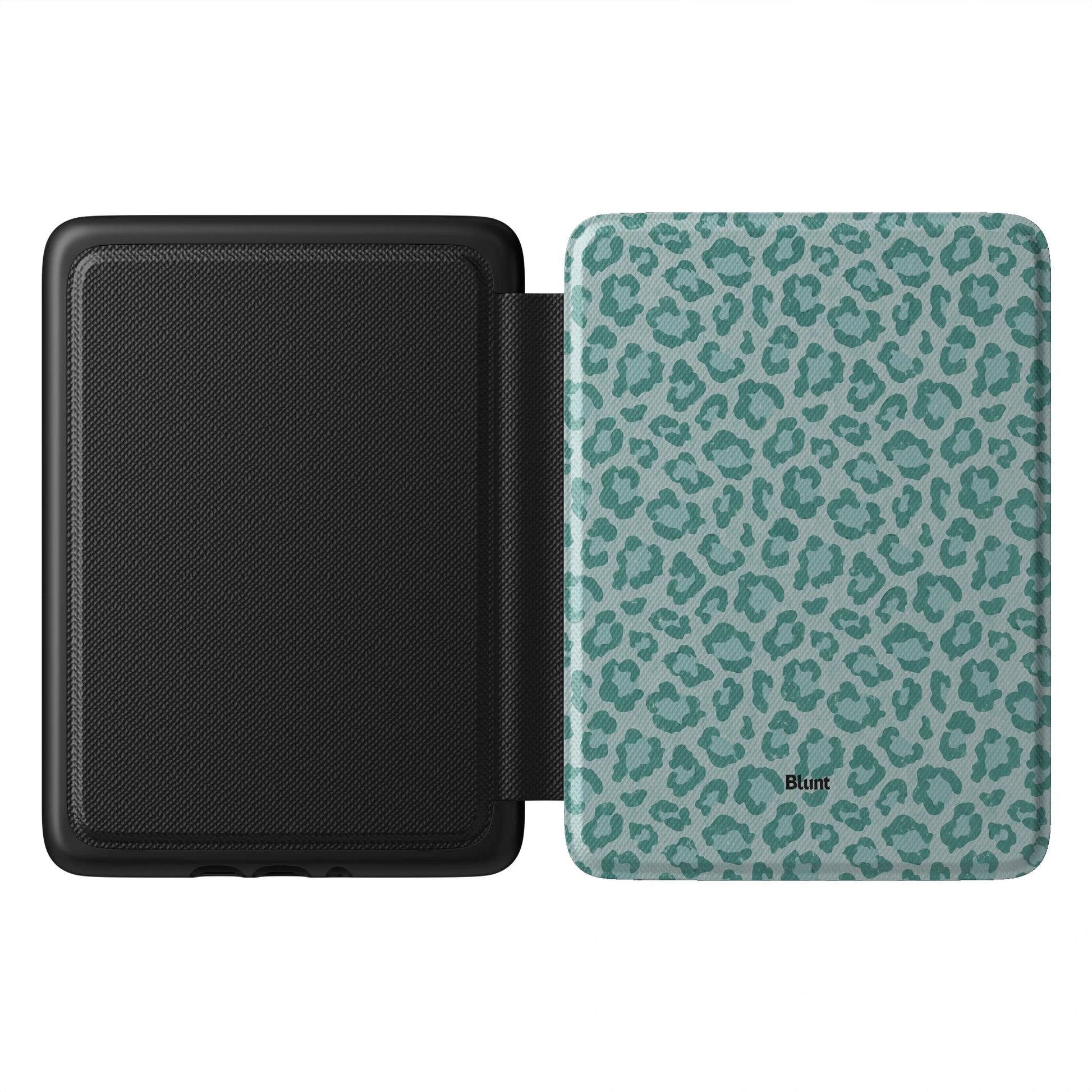 Kindle_Standard_1