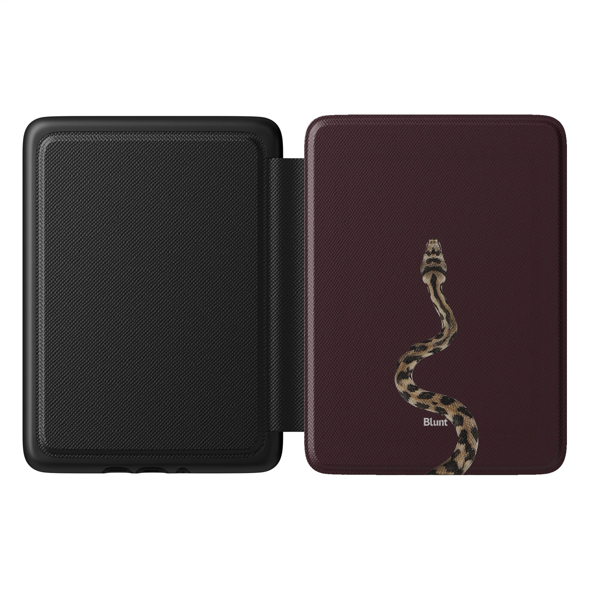 Kindle_Standard_1