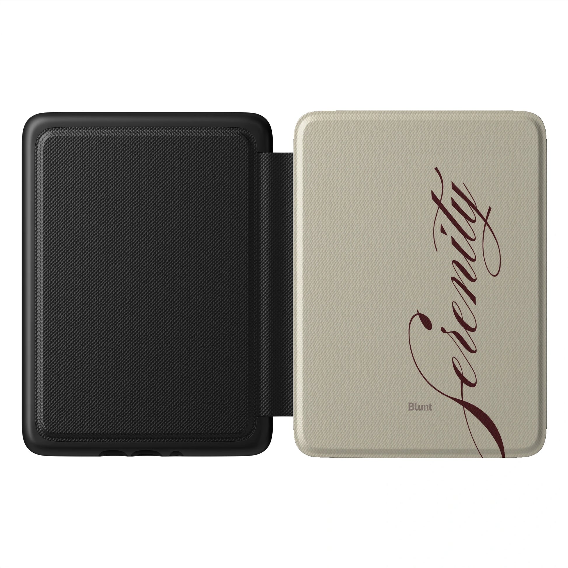 Kindle_Standard_1