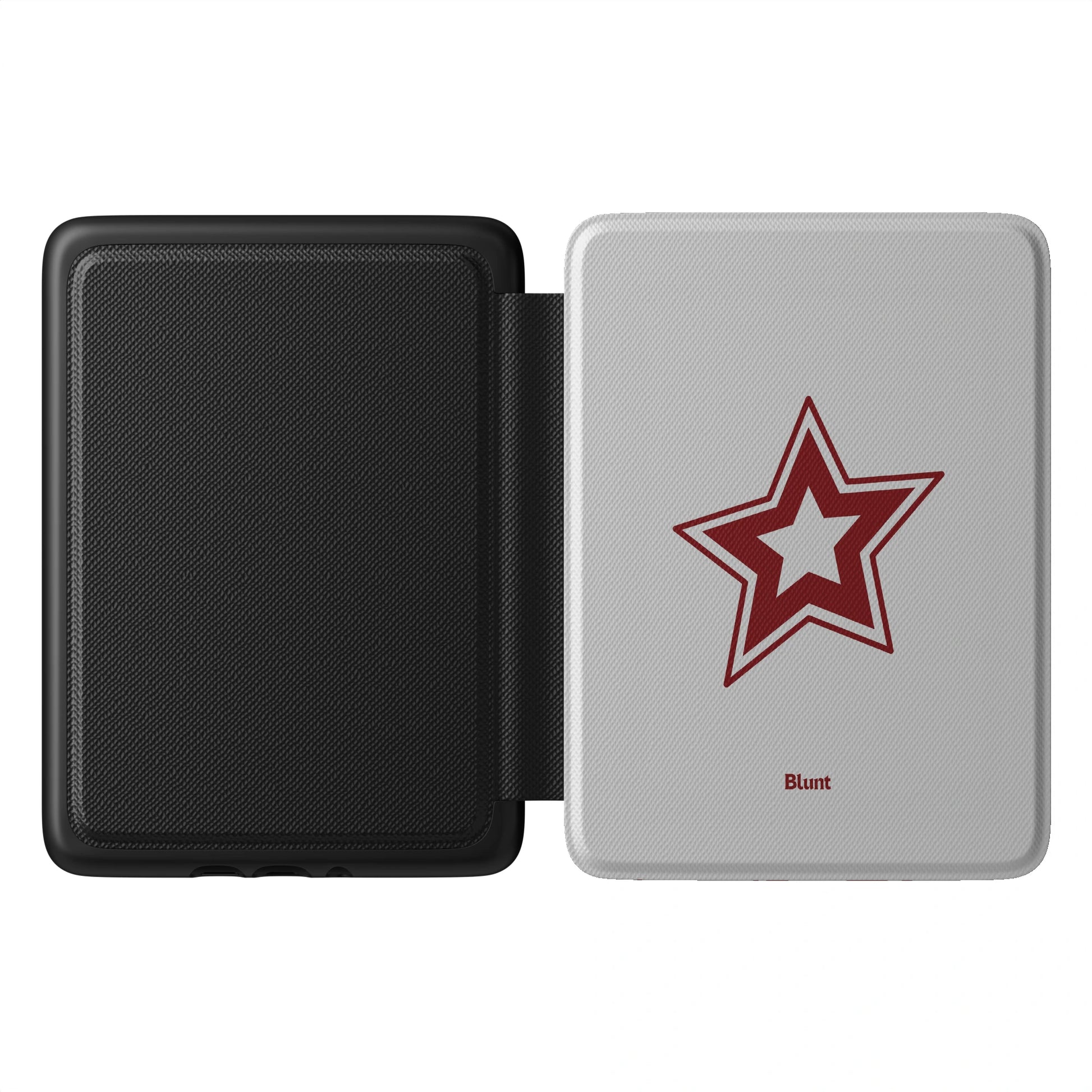 Kindle_Standard_1