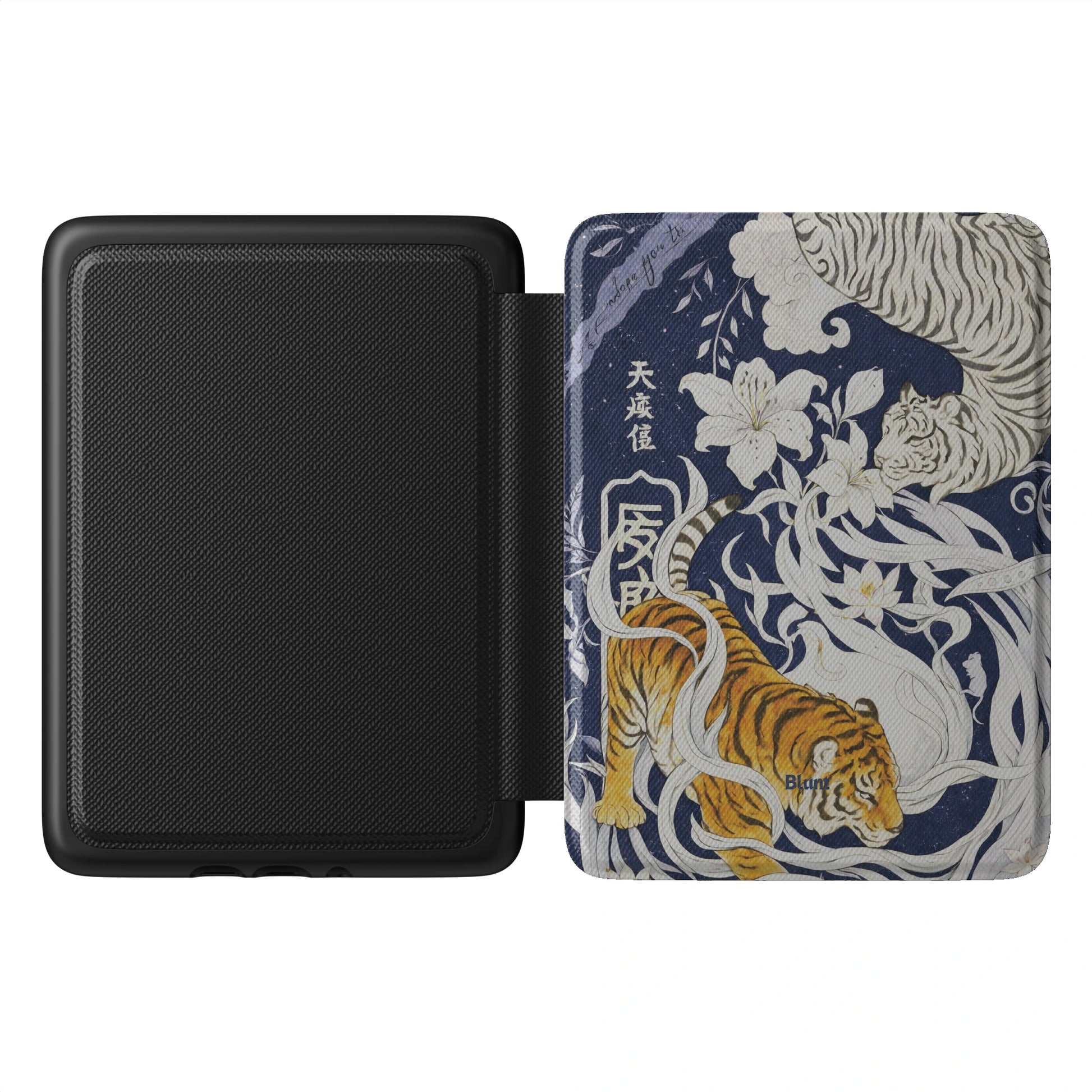 Kindle_Standard_1