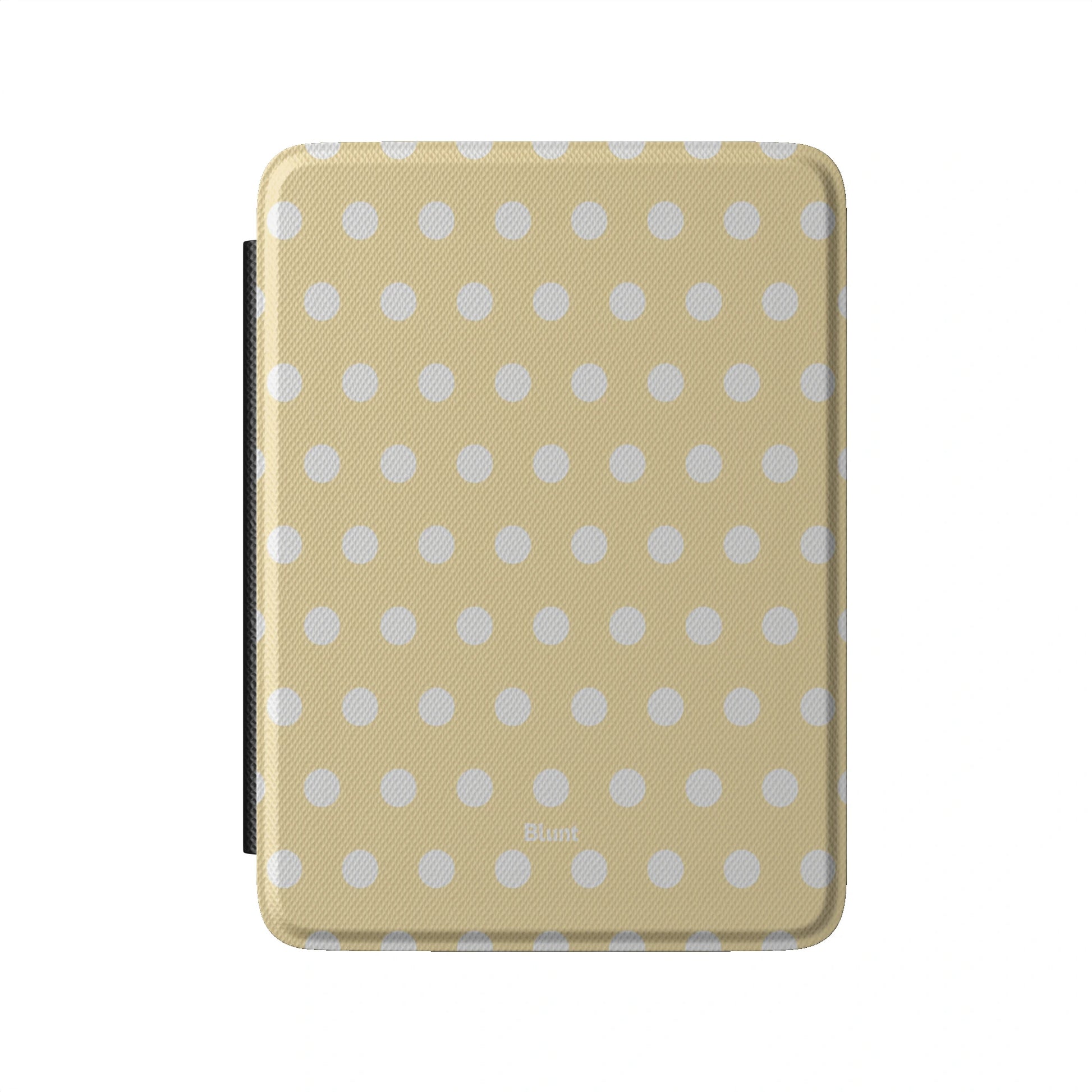 Kindle_Standard_2