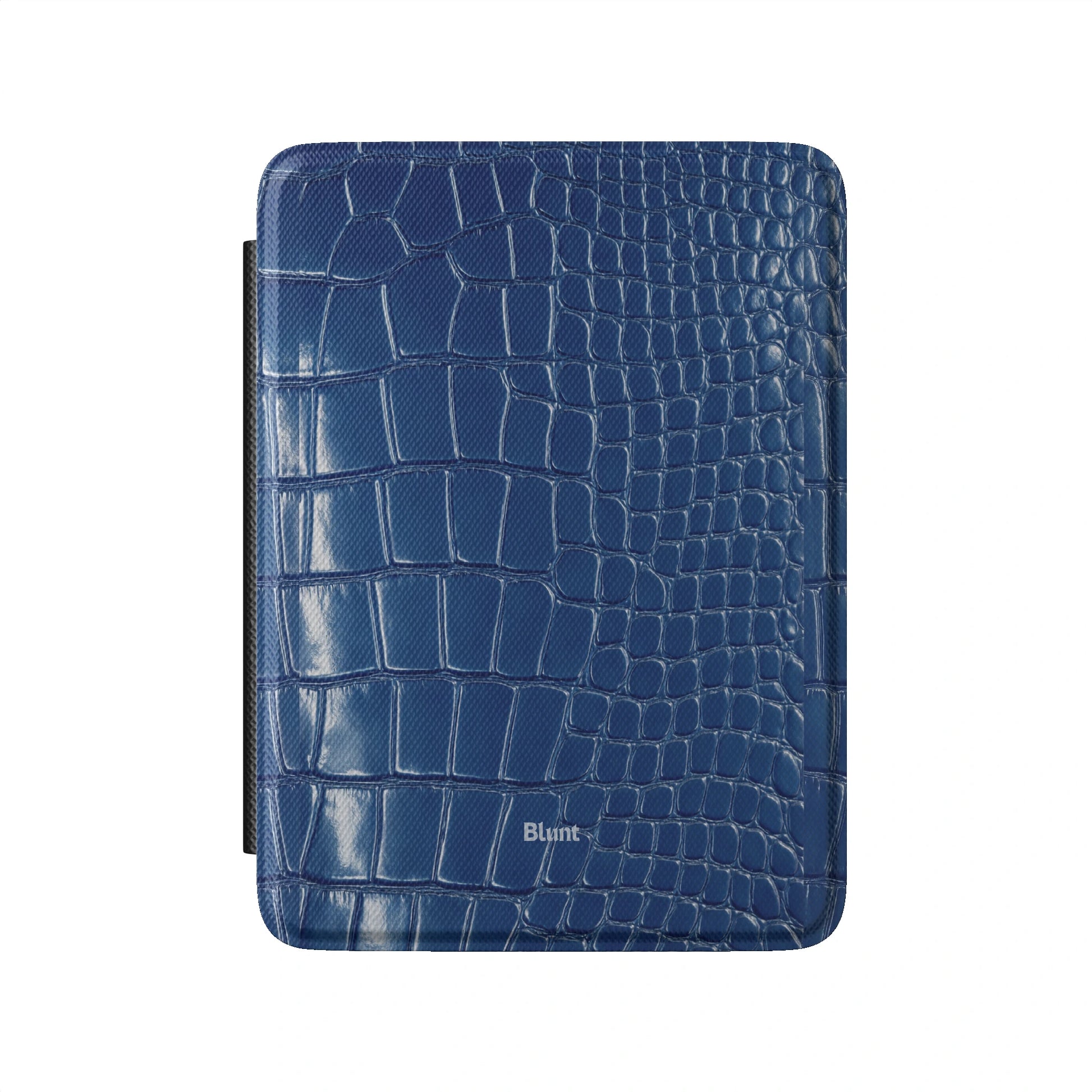 Kindle_Standard_2
