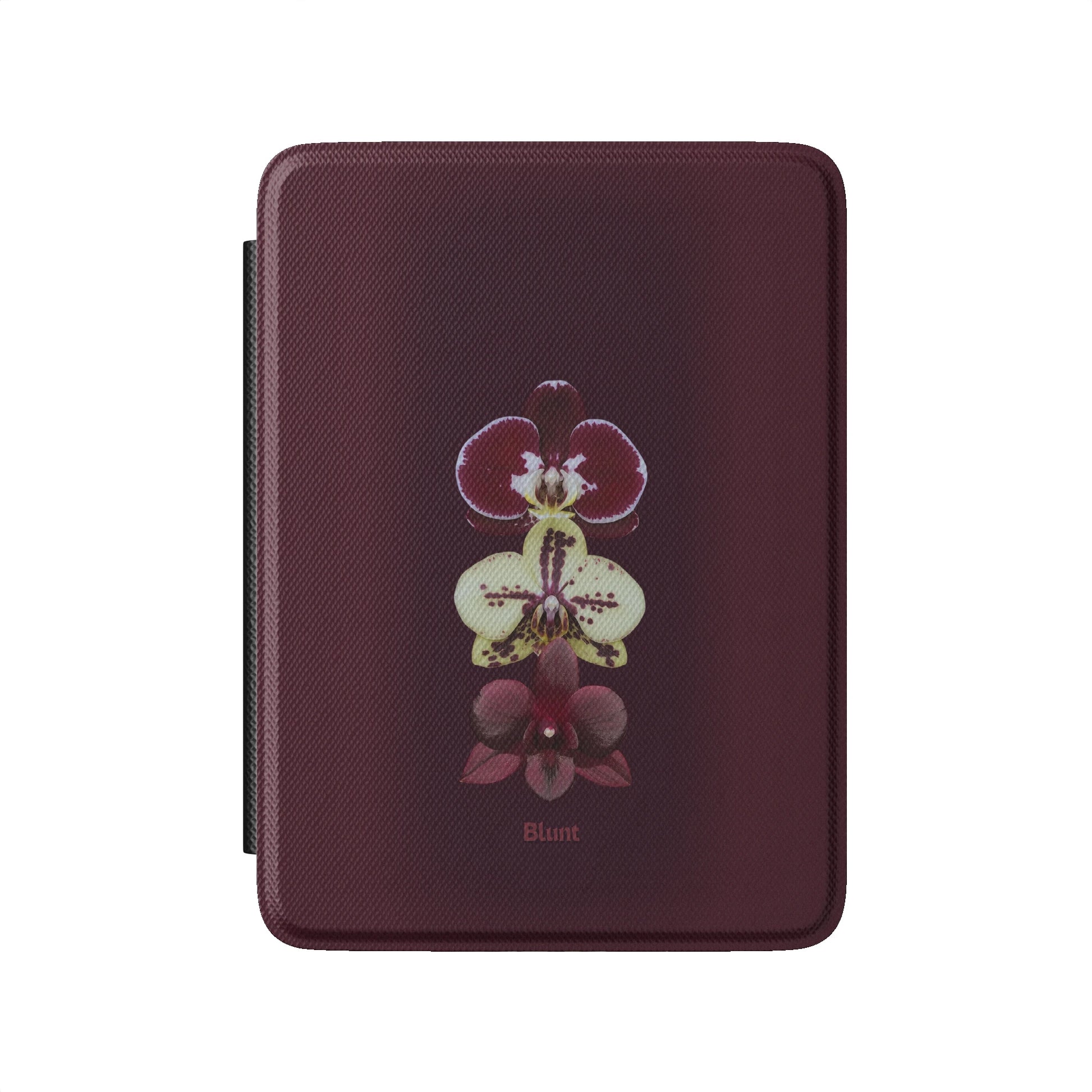 Kindle_Standard_2