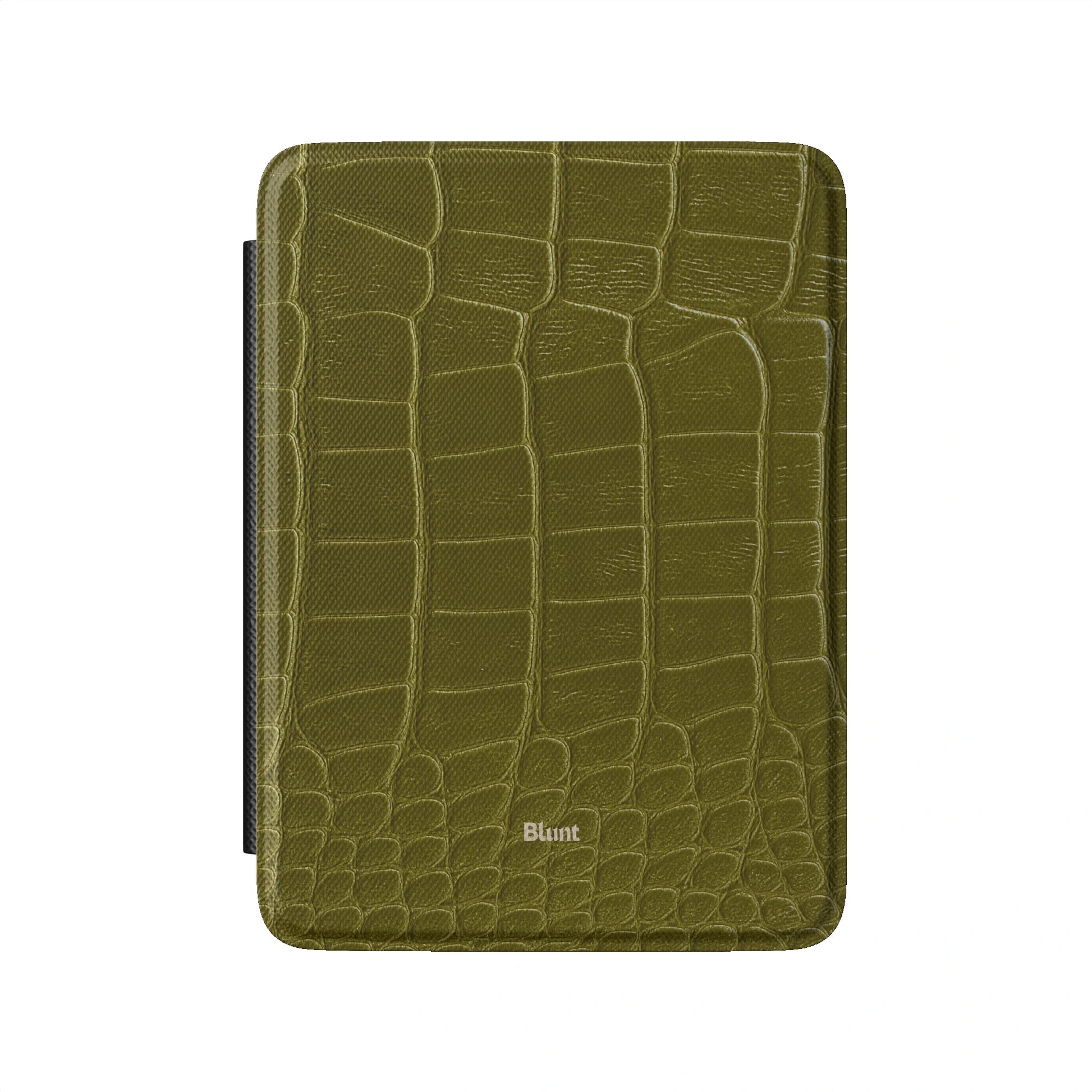 Kindle_Standard_2