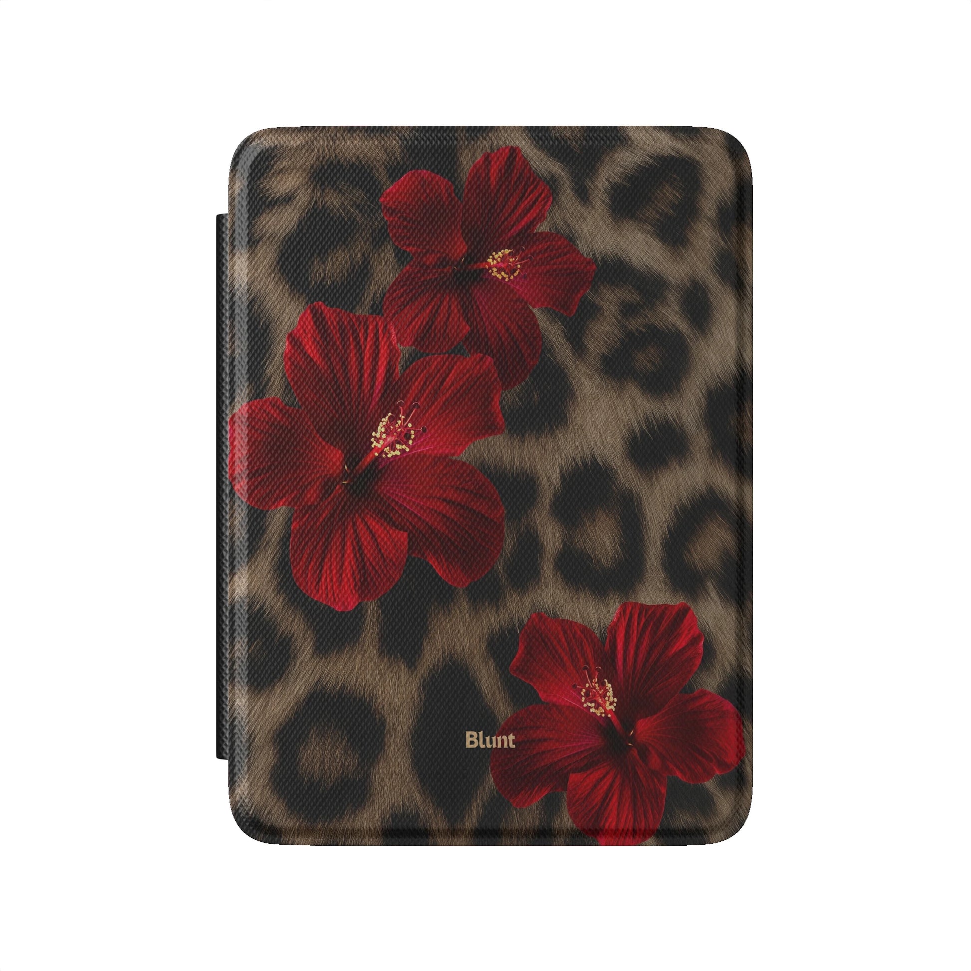 Kindle_Standard_2