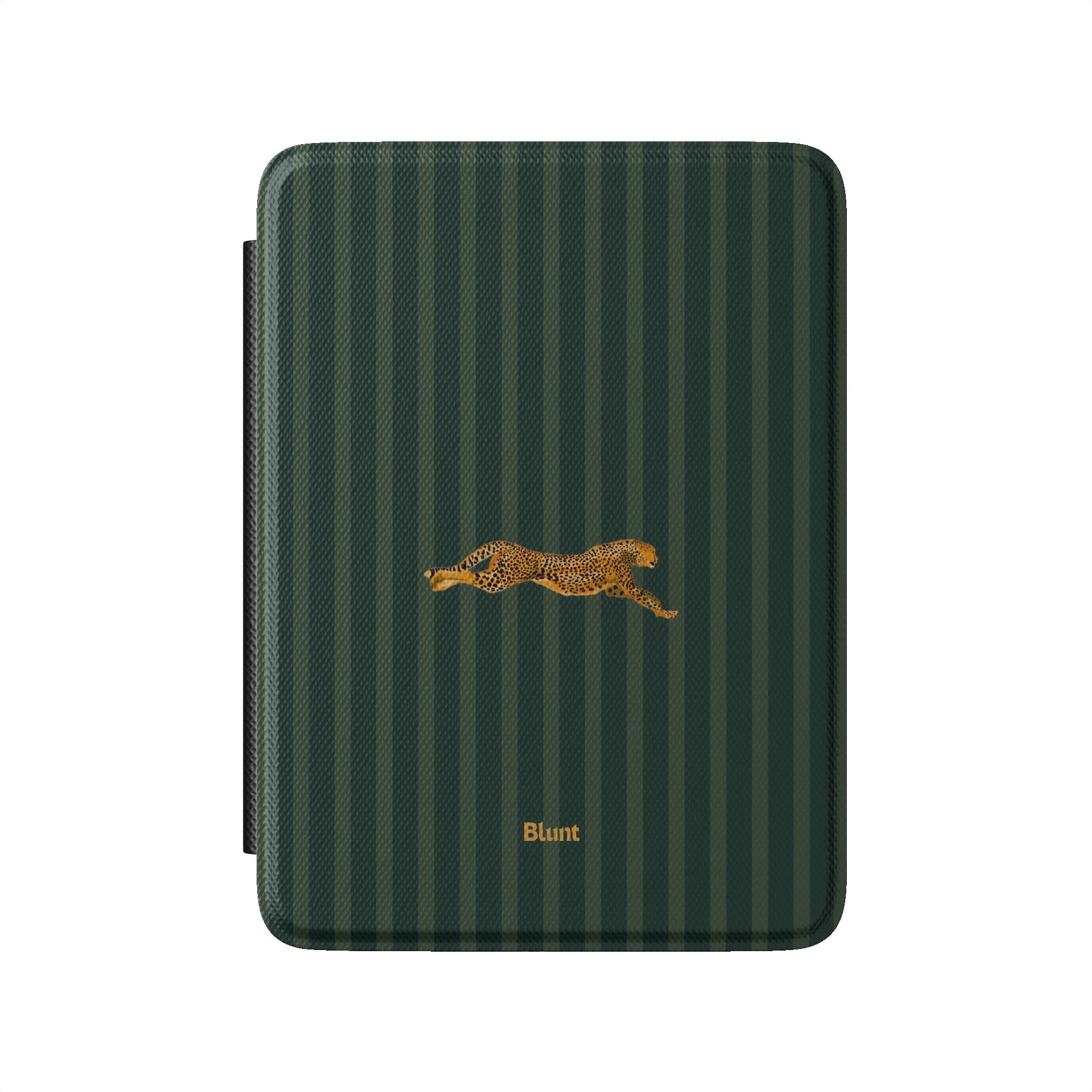 Kindle_Standard_2