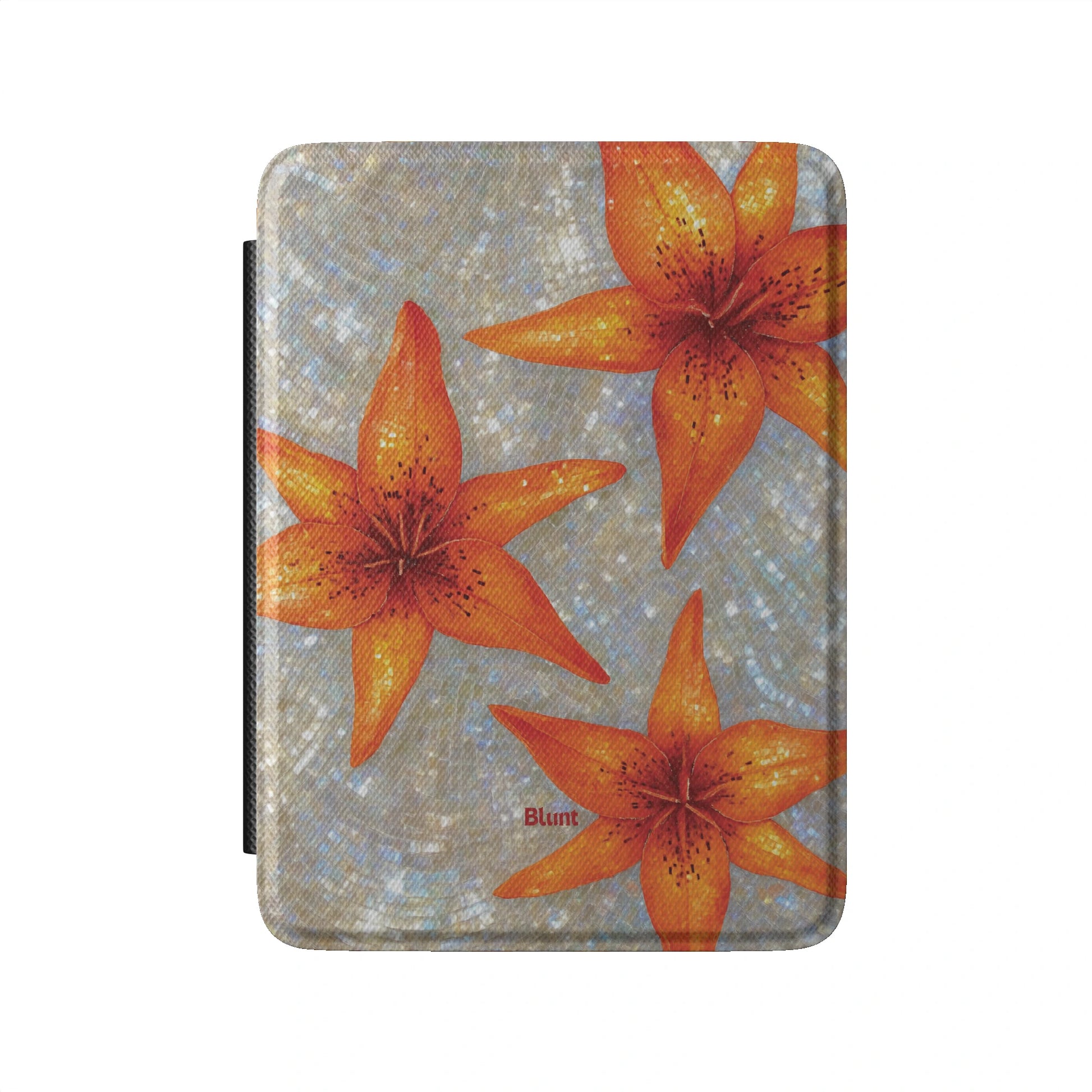 Kindle_Standard_2