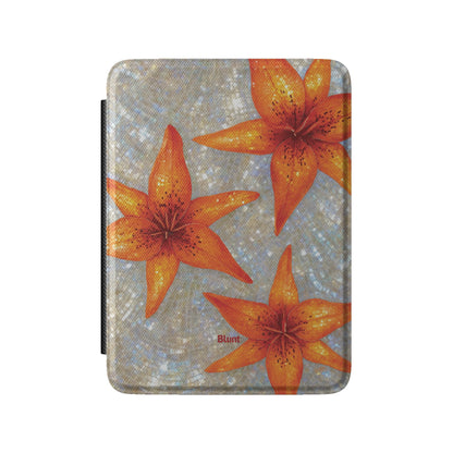 Kindle_Standard_2
