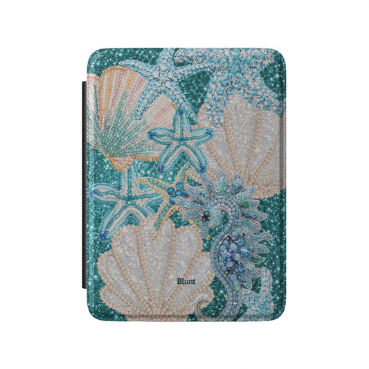 Kindle_Standard_2