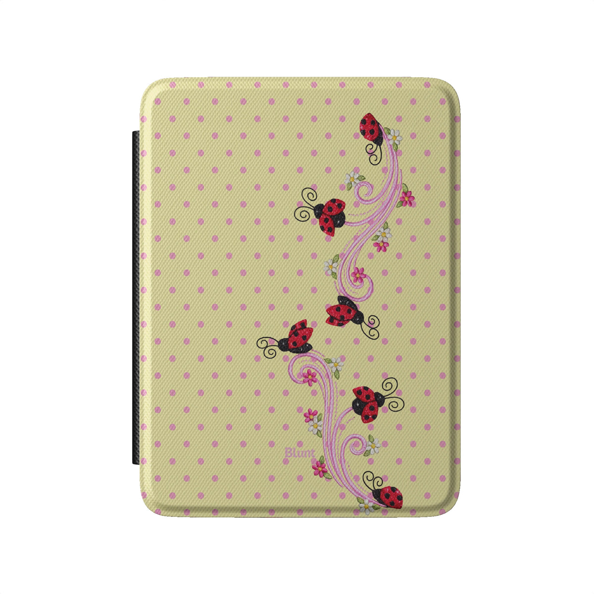 Kindle_Standard_2