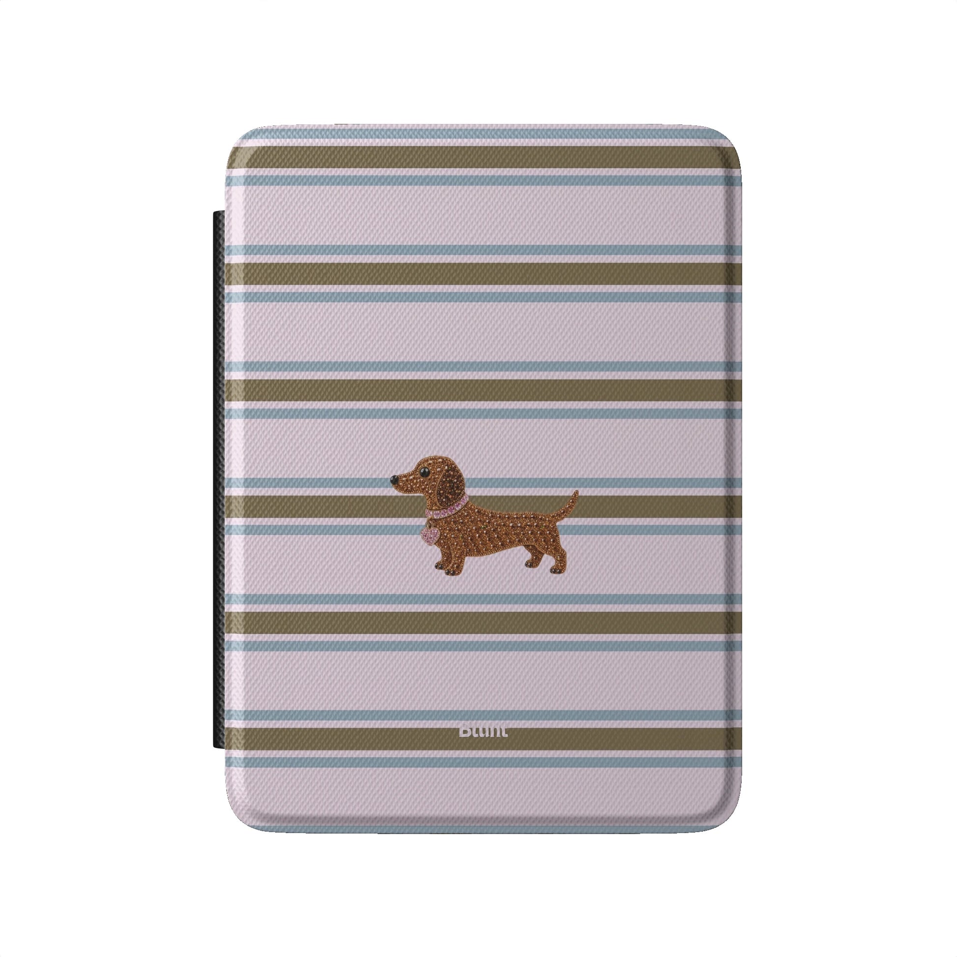 Kindle_Standard_2