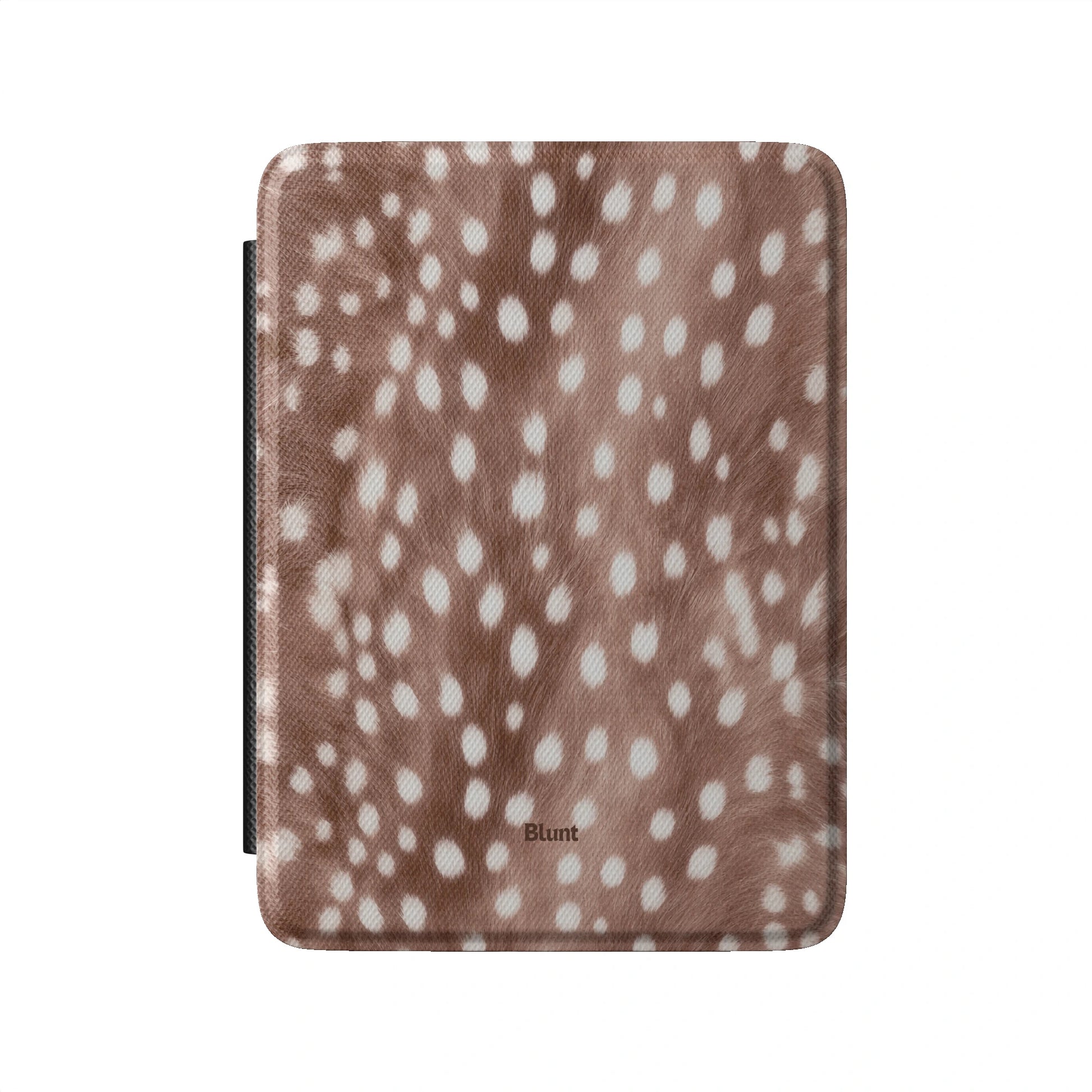 Kindle_Standard_2