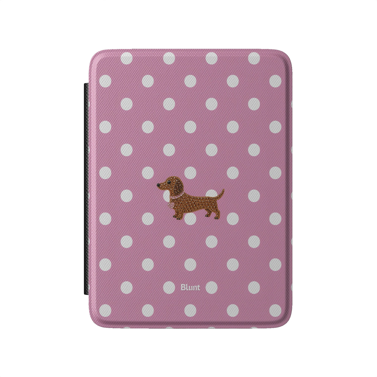Kindle_Standard_2