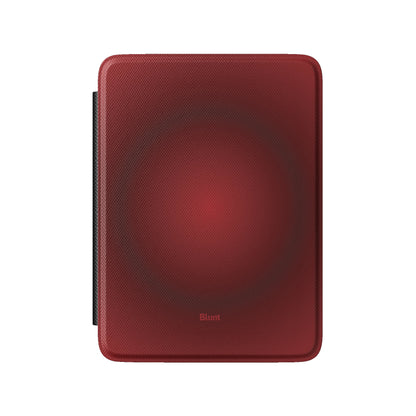 Kindle_Standard_2
