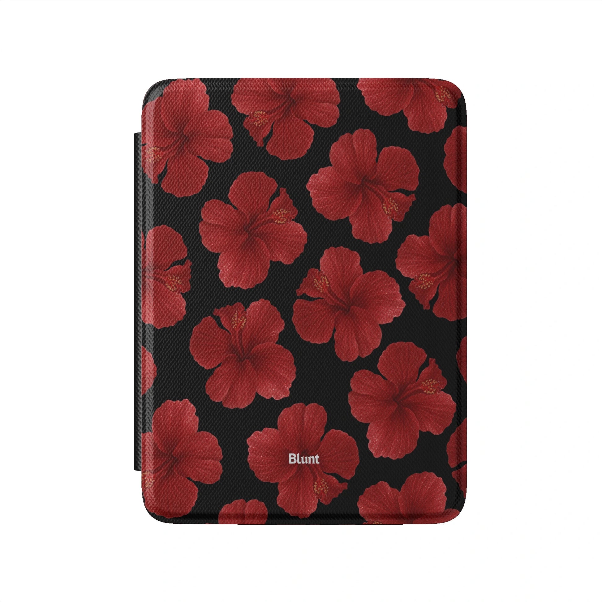 Kindle_Standard_2
