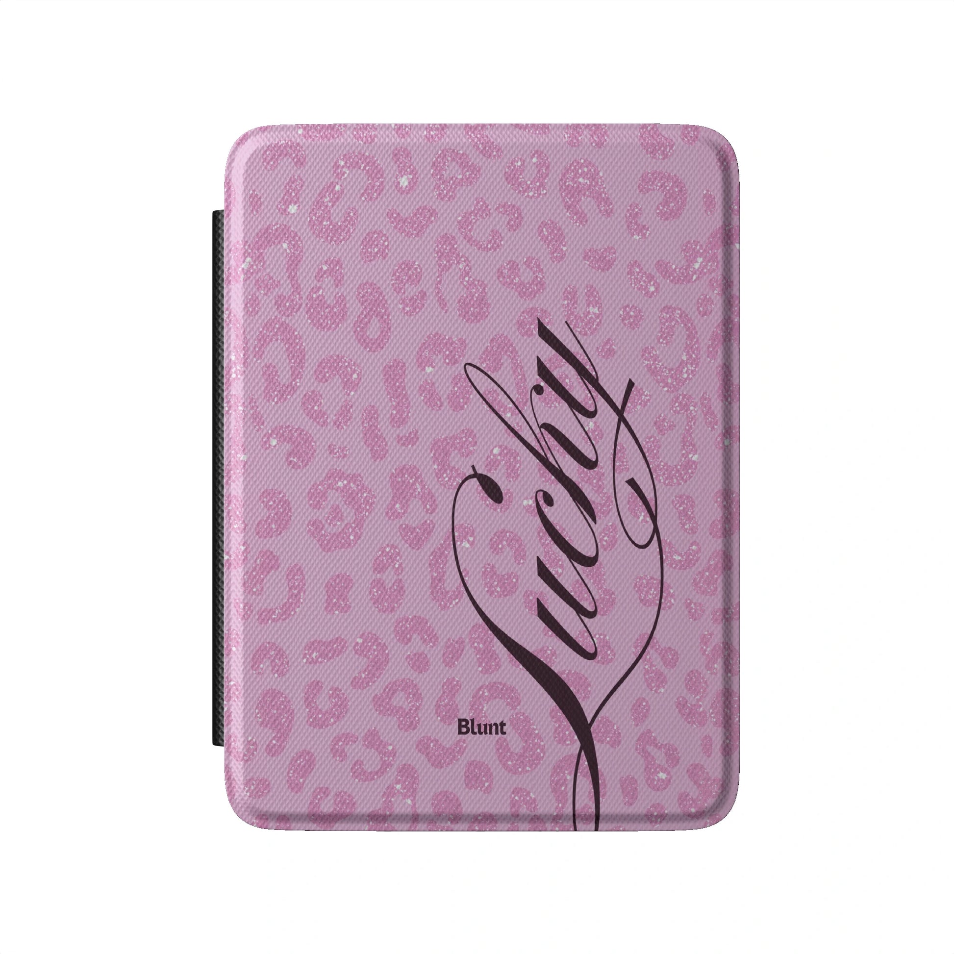 Kindle_Standard_2