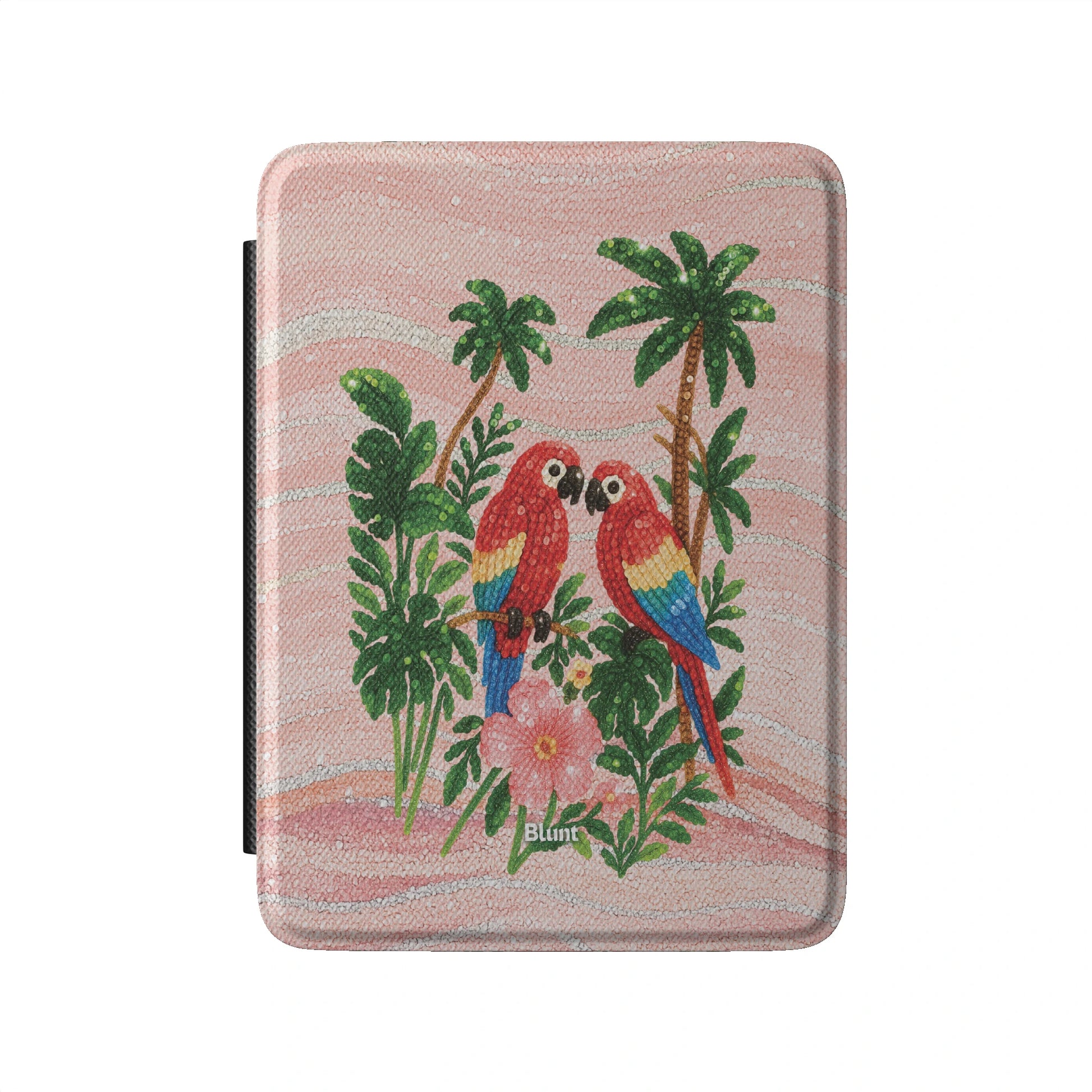 Kindle_Standard_2