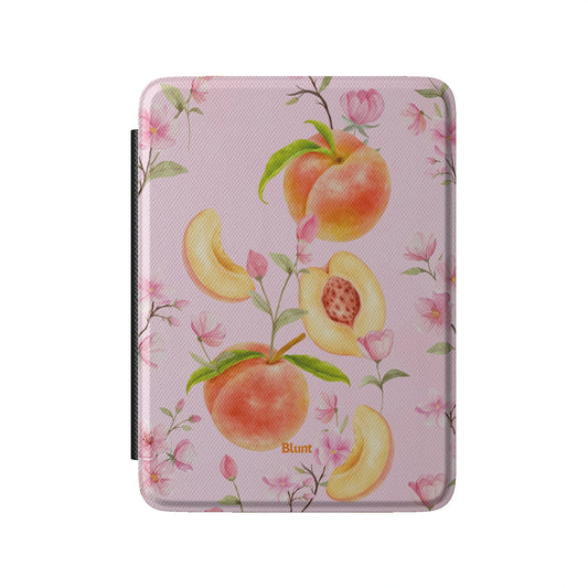Kindle_Standard_2