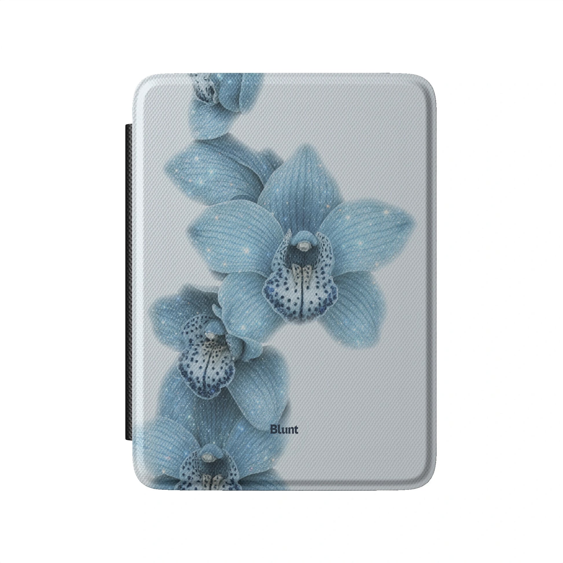 Kindle_Standard_2