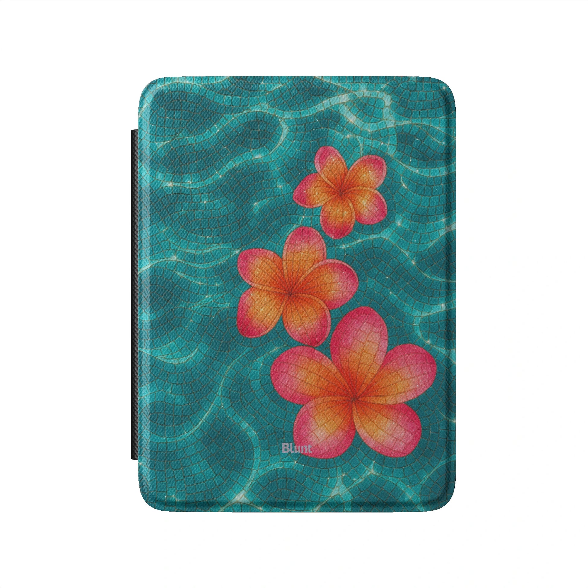 Kindle_Standard_2