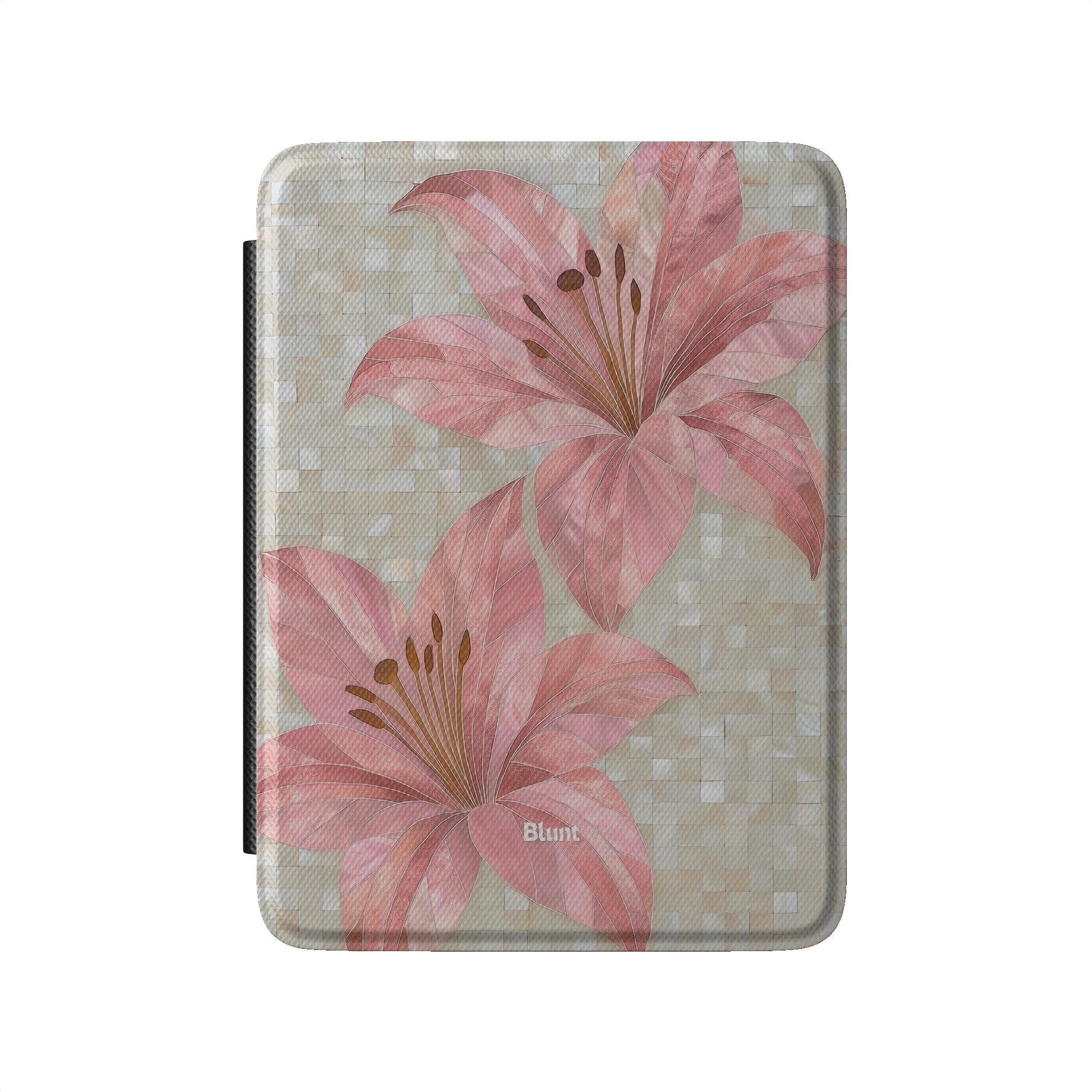 Kindle_Standard_2