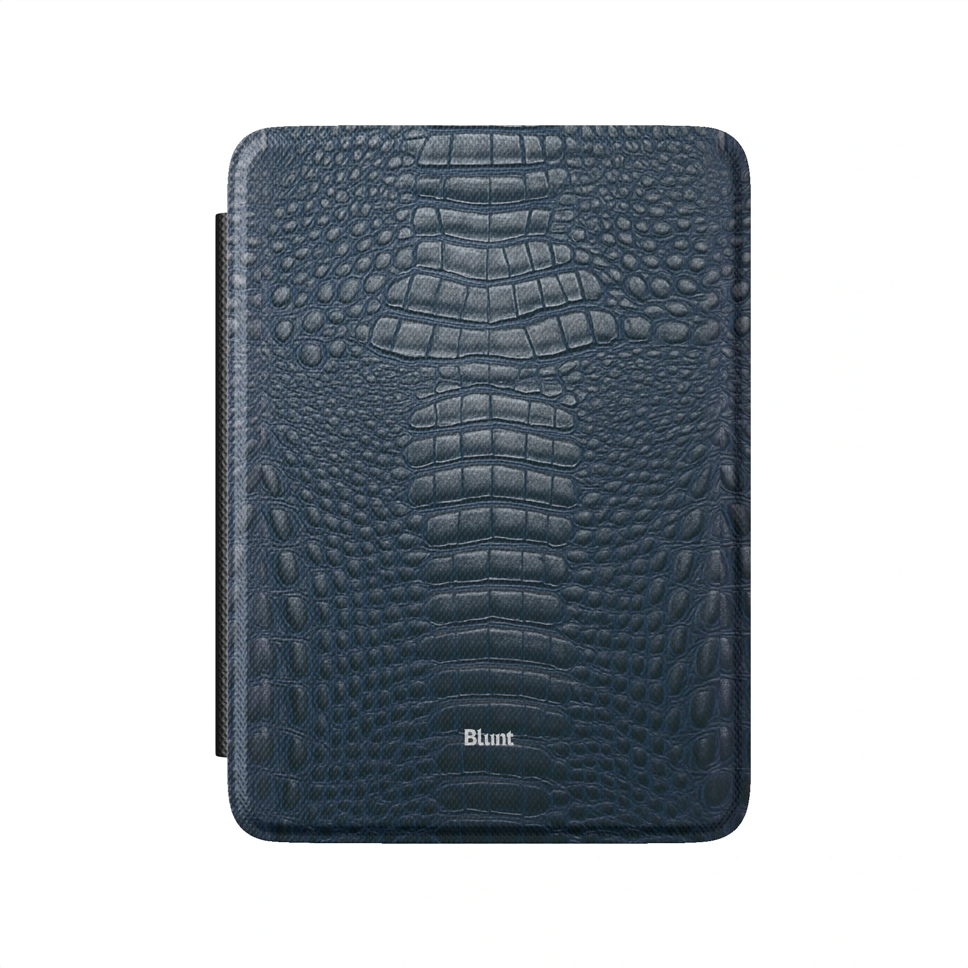 Kindle_Standard_2