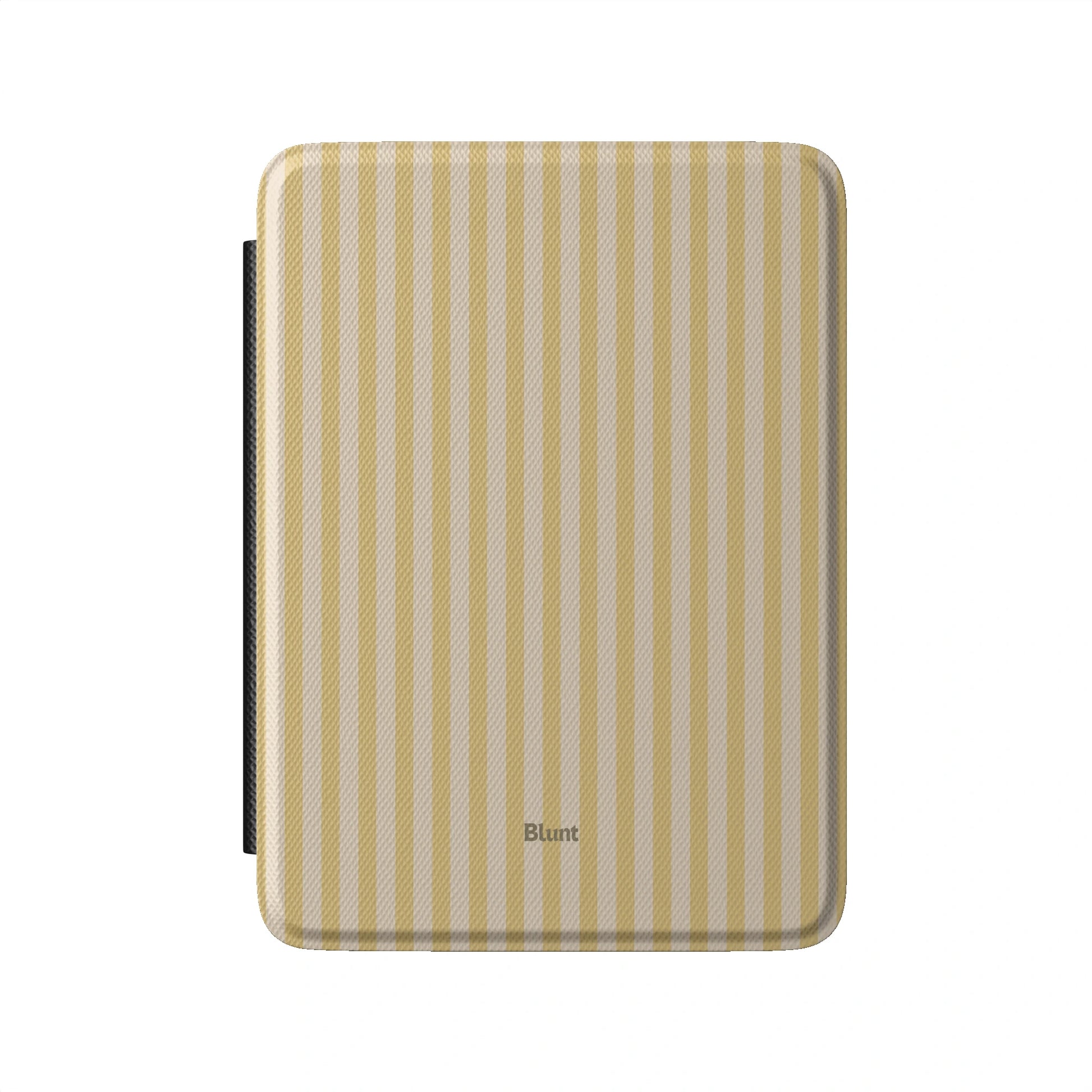 Kindle_Standard_2