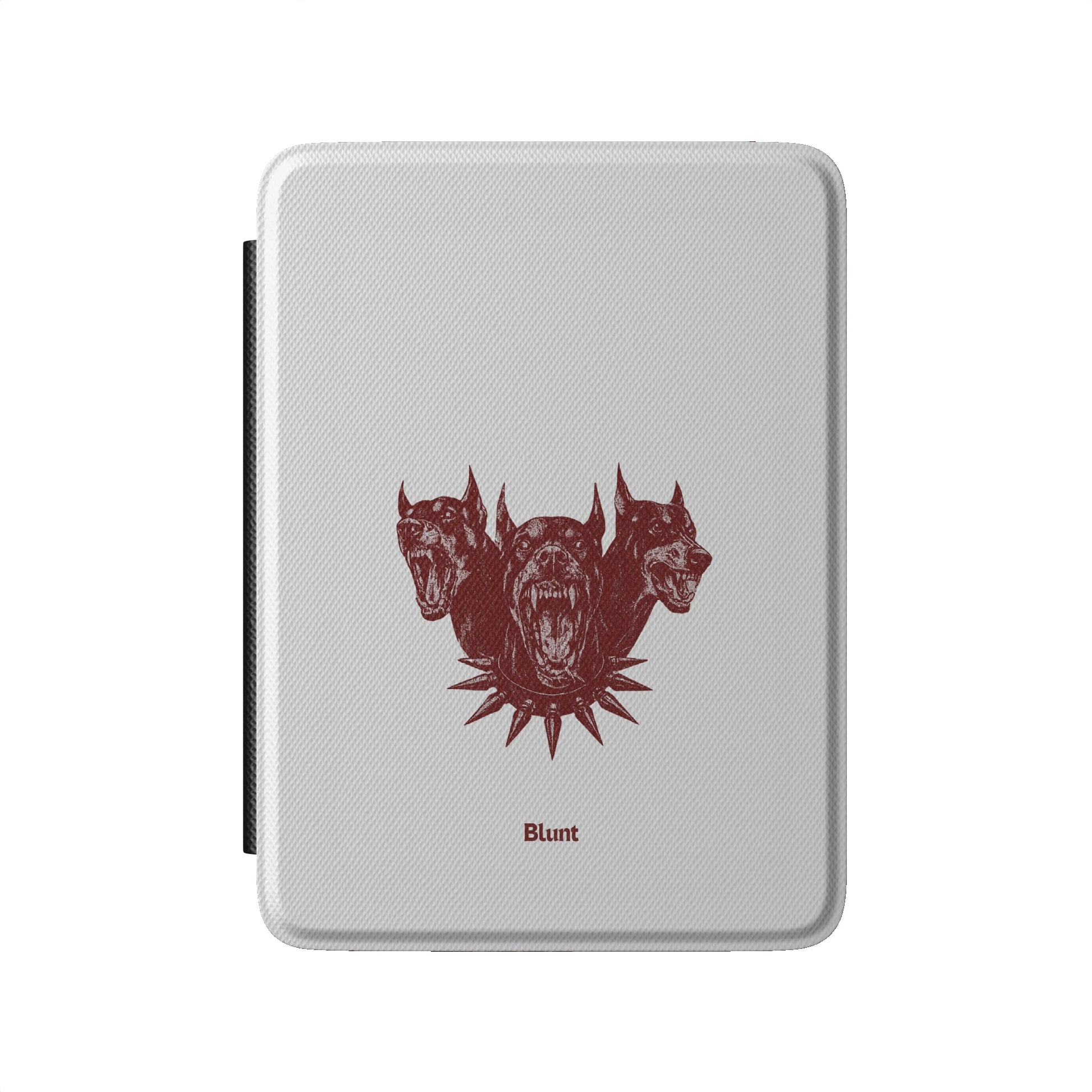 Kindle_Standard_2