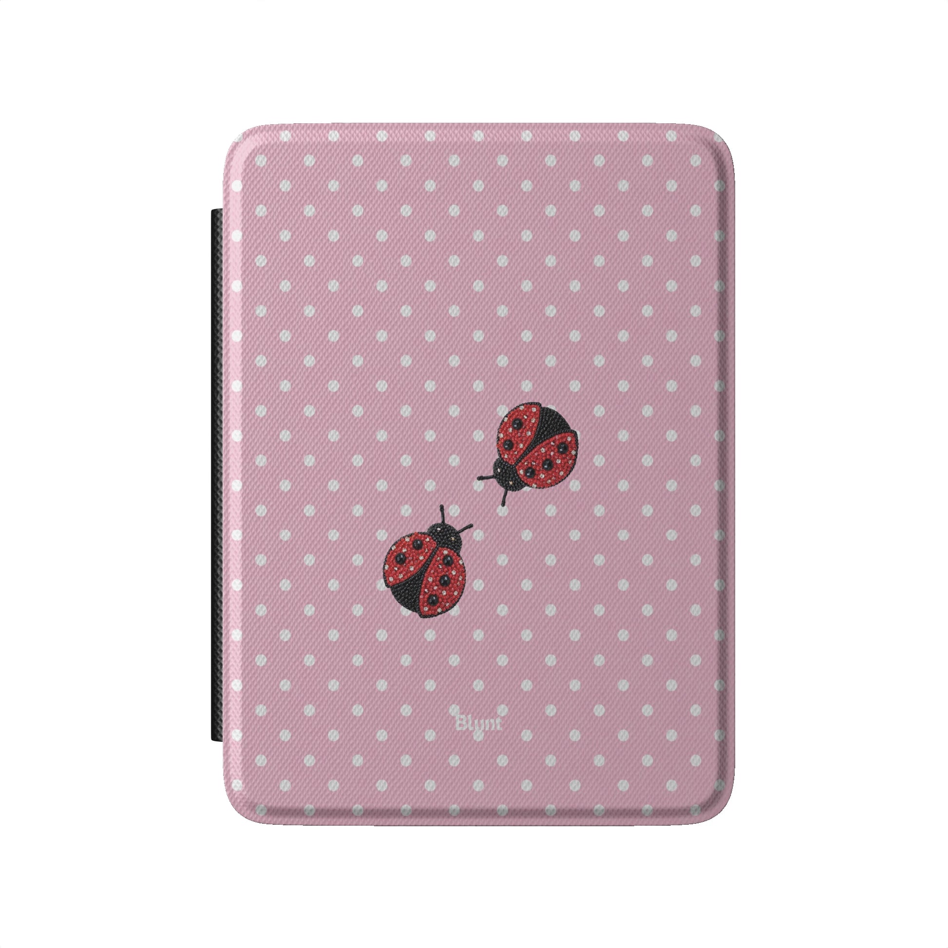 Kindle_Standard_2