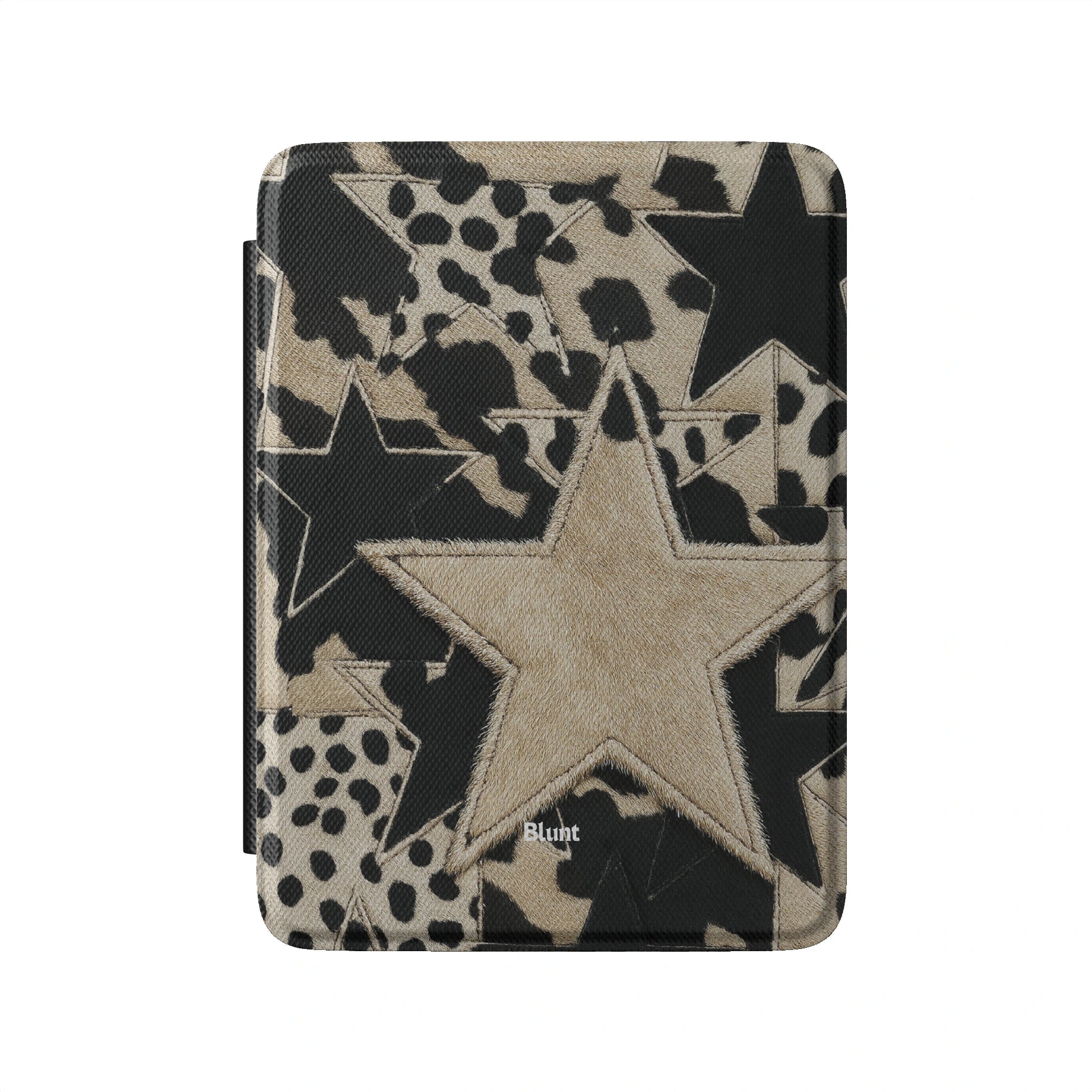 Kindle_Standard_2