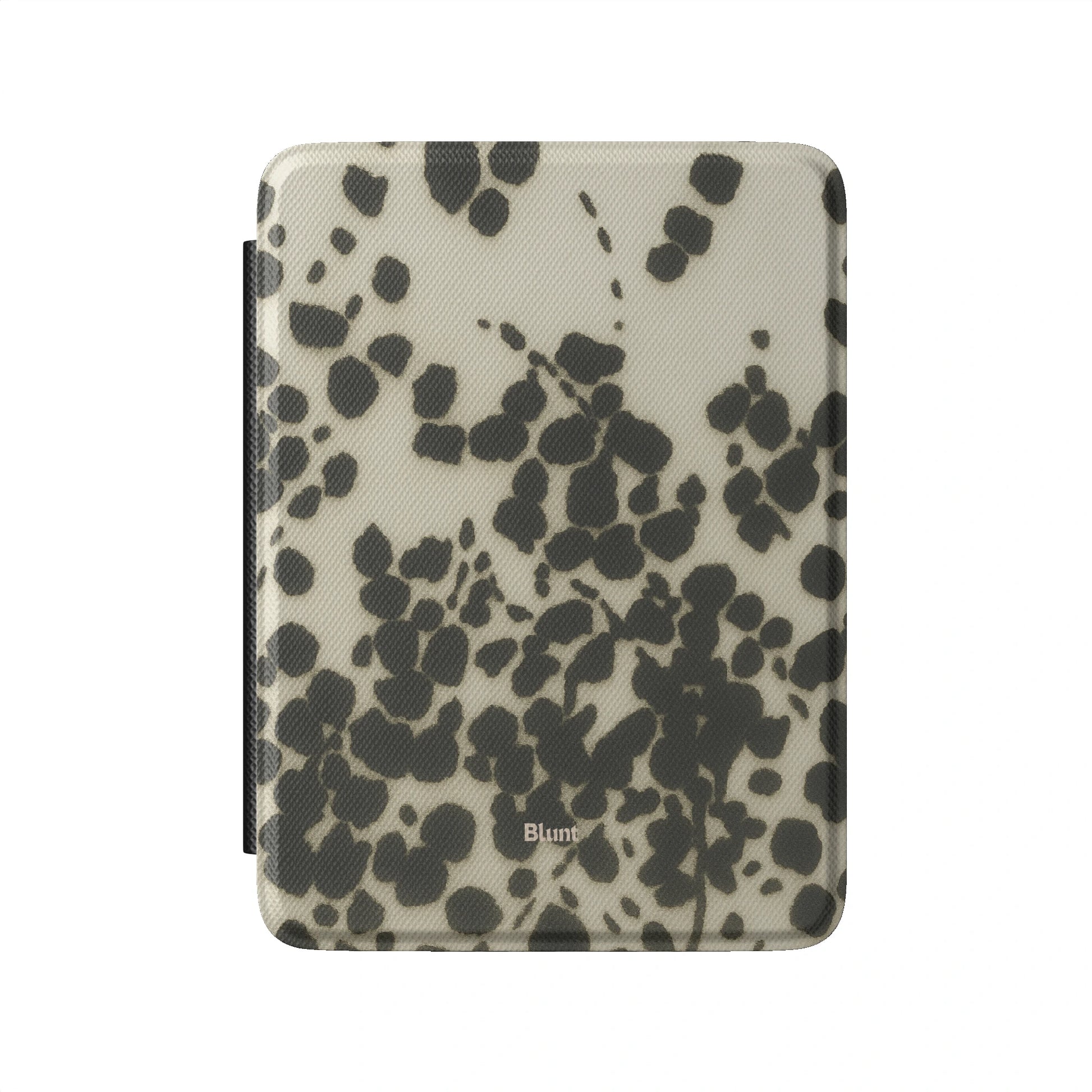 Kindle_Standard_2