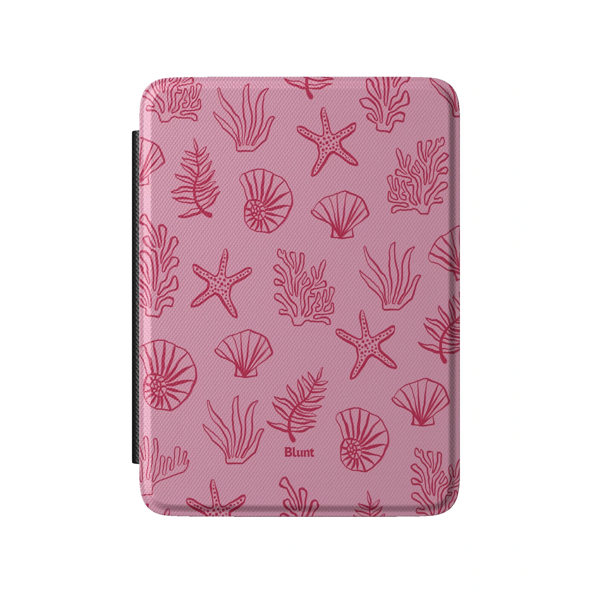 Kindle_Standard_2