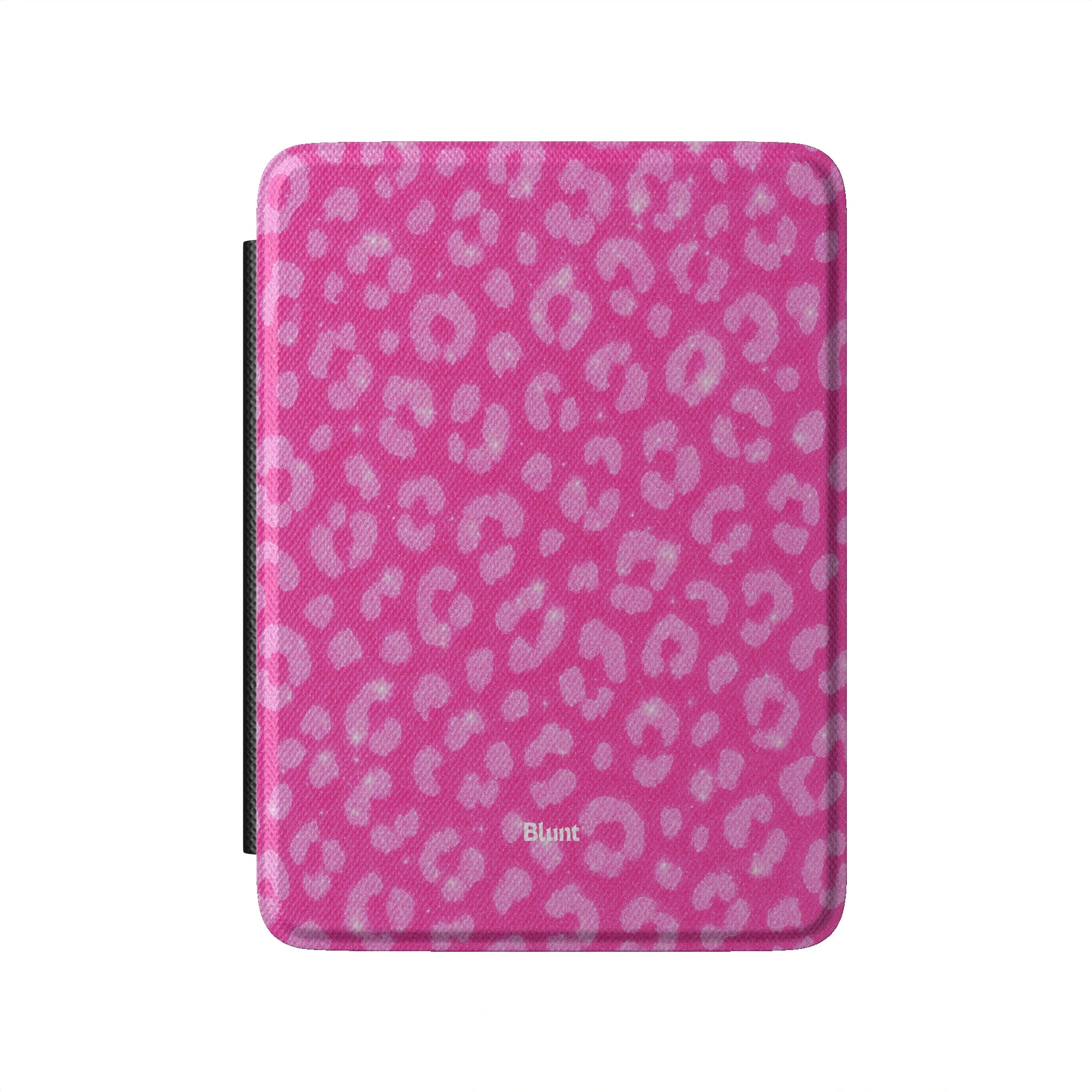 Kindle_Standard_2