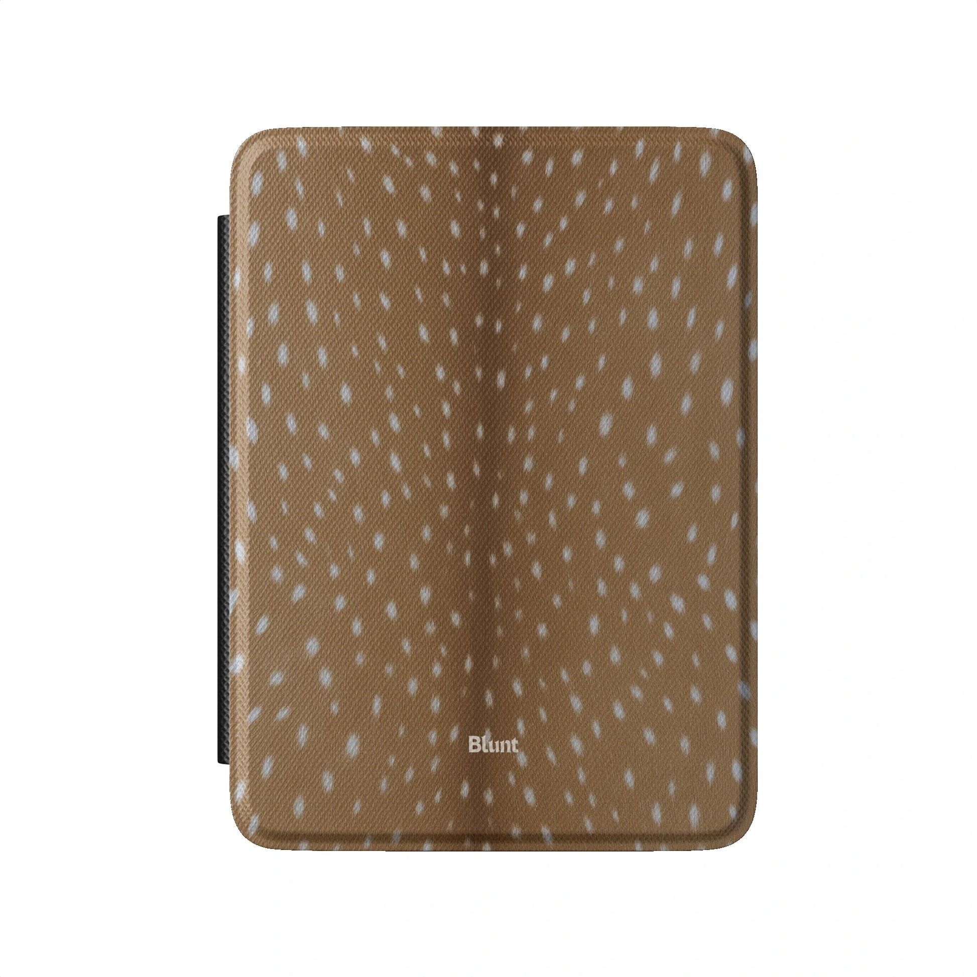 Kindle_Standard_2