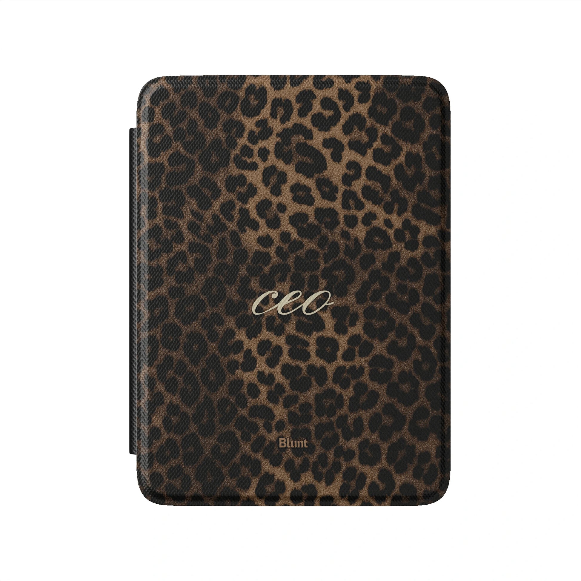 Kindle_Standard_2