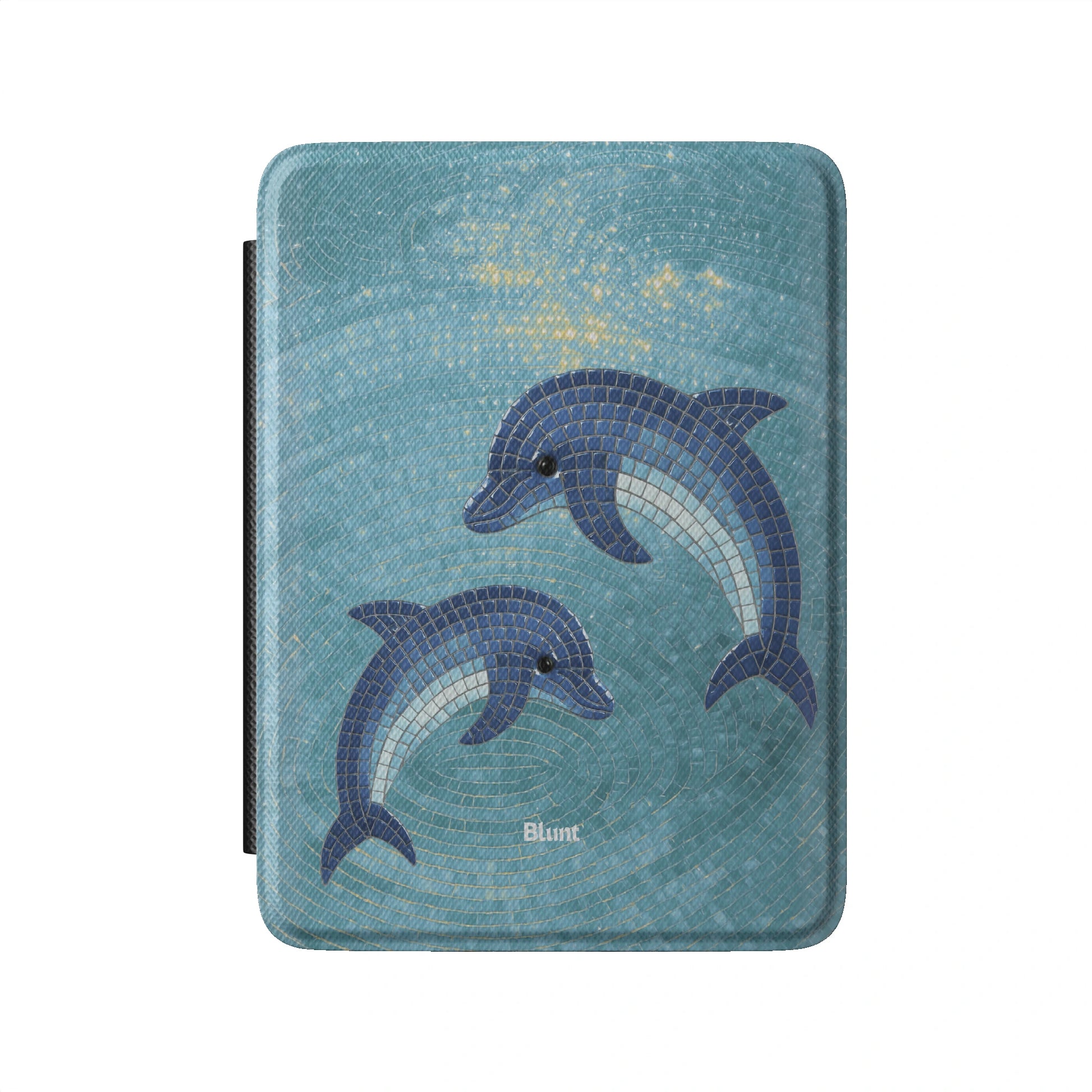 Kindle_Standard_2
