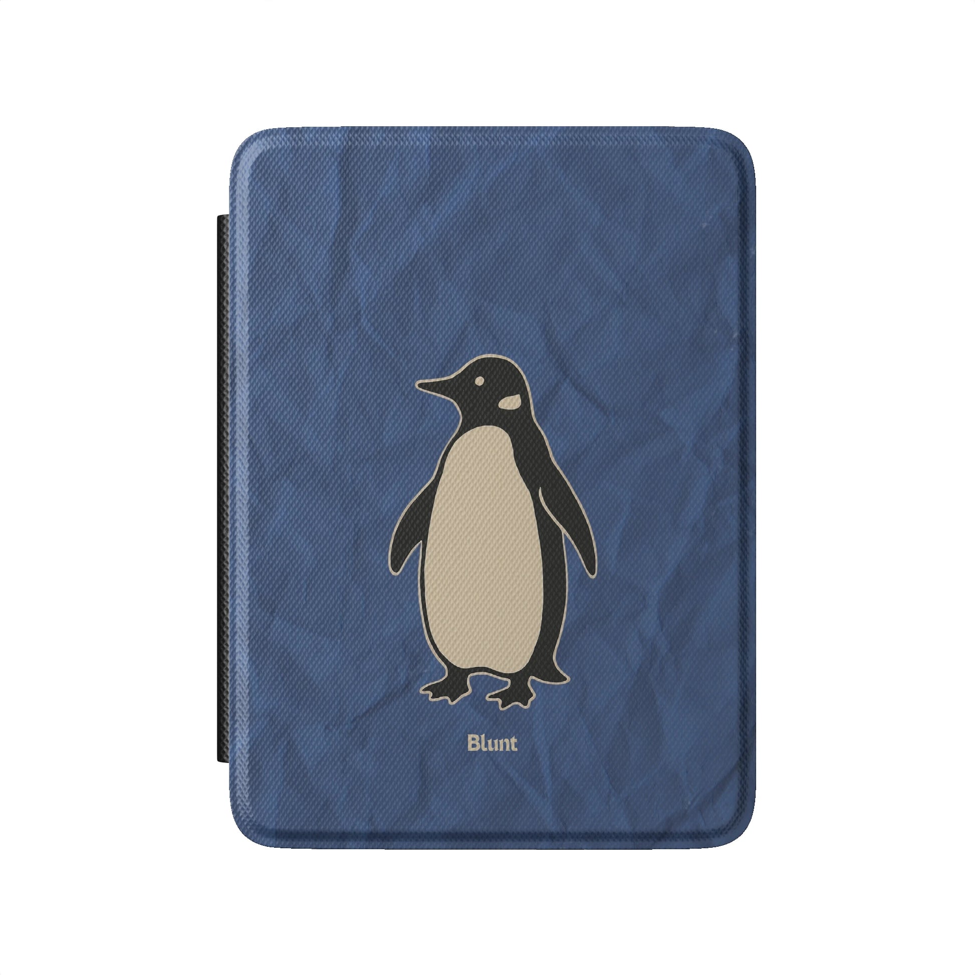 Kindle_Standard_2