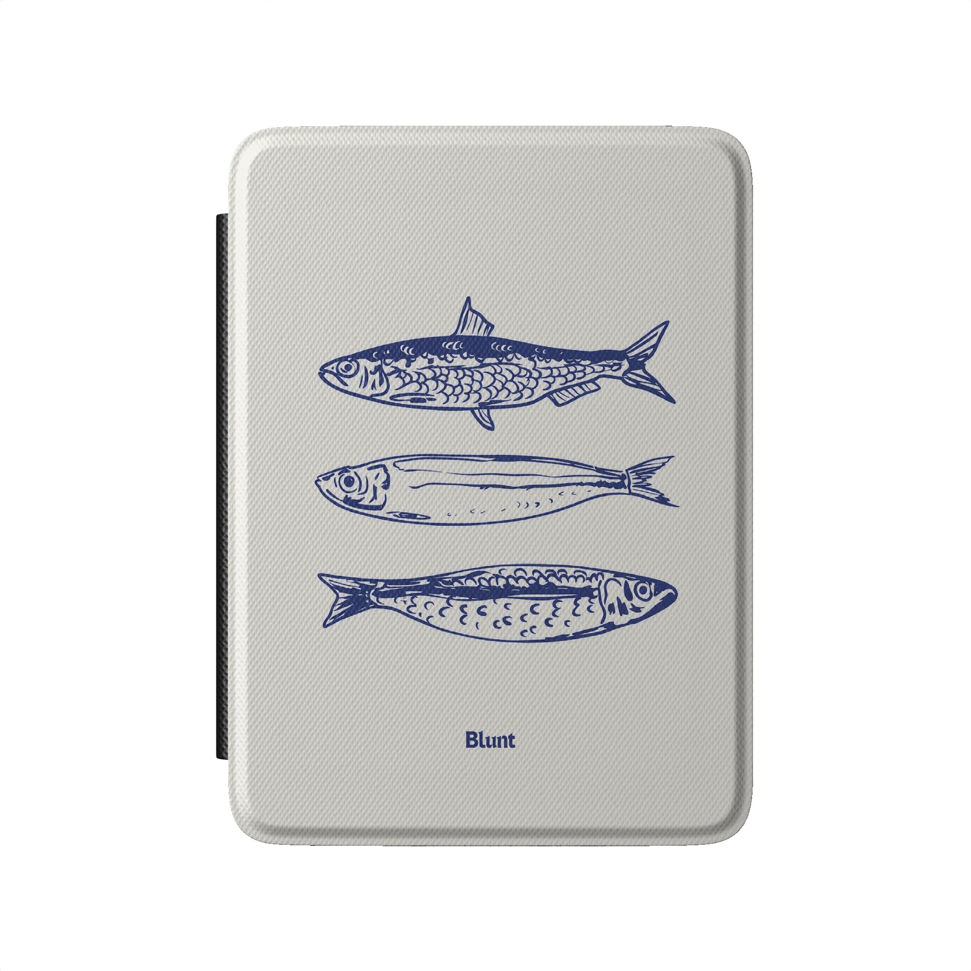 Kindle_Standard_2
