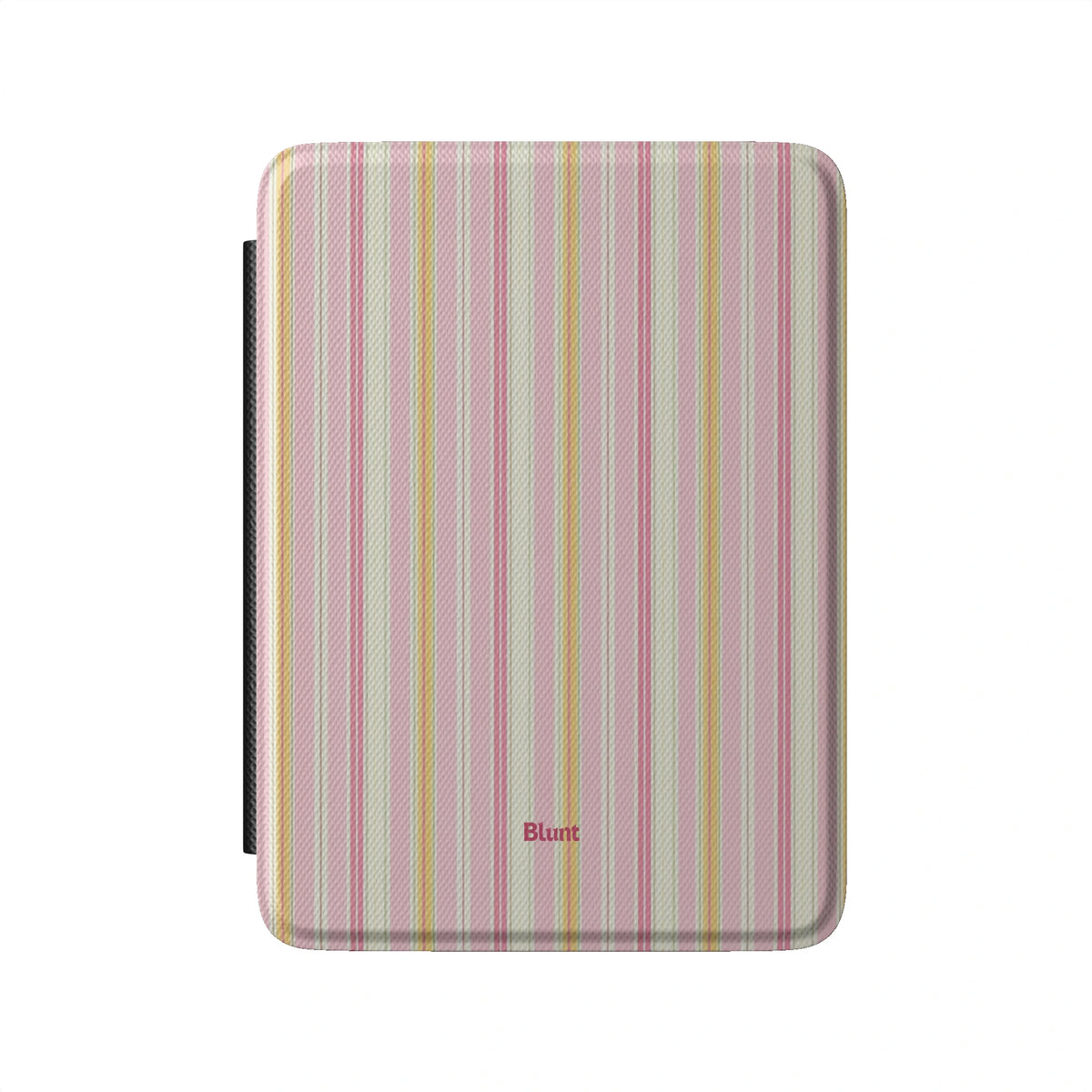 Kindle_Standard_2