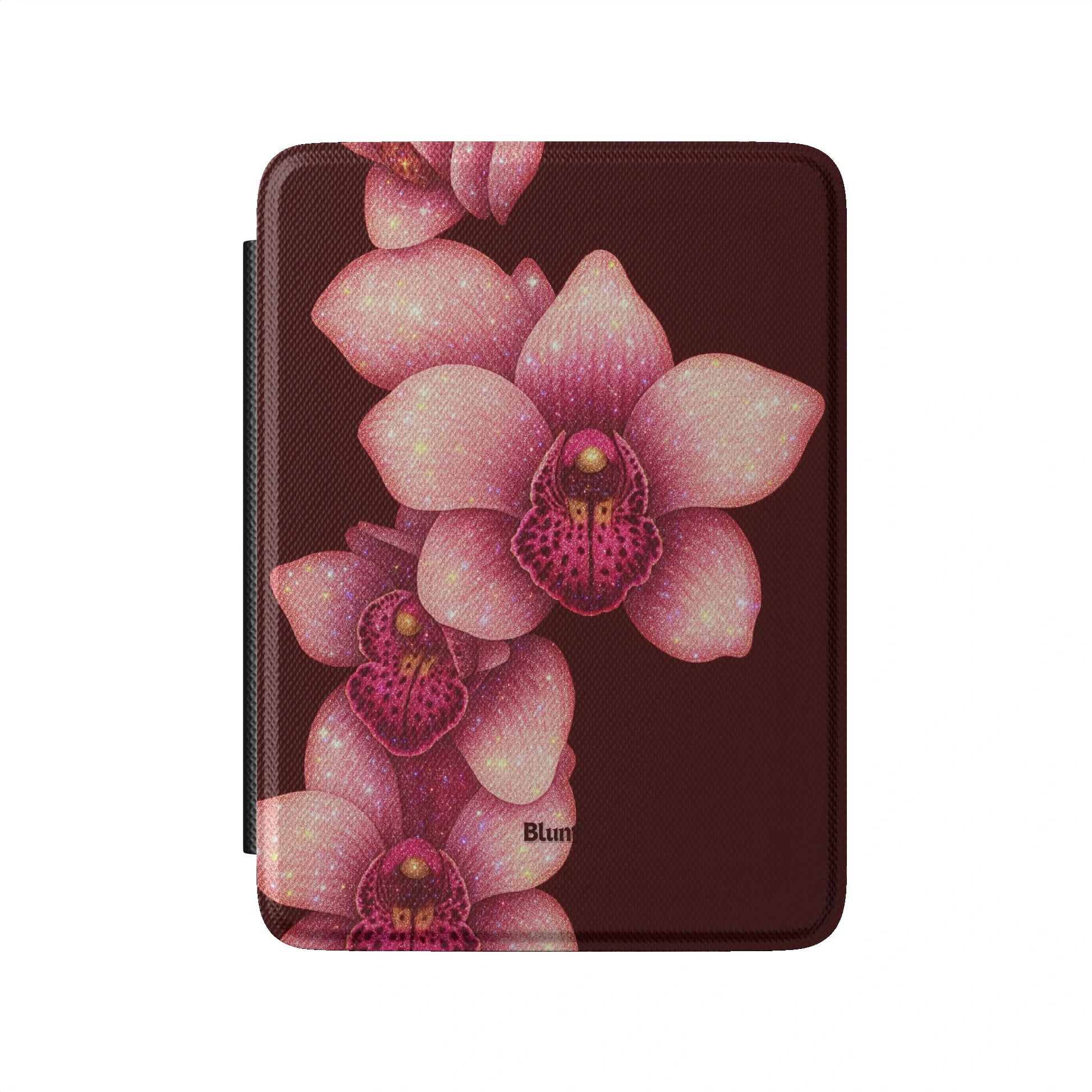Kindle_Standard_2