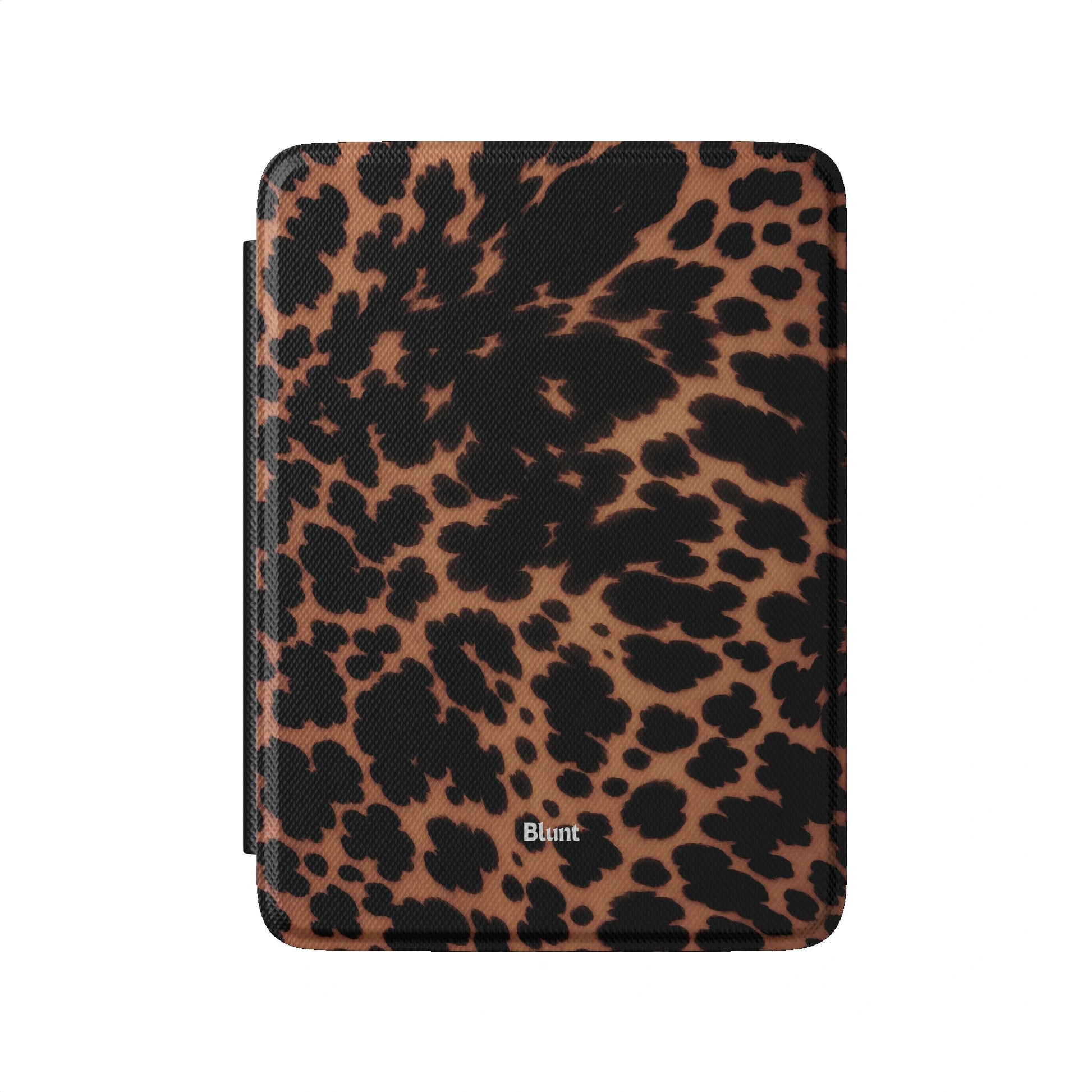 Kindle_Standard_2
