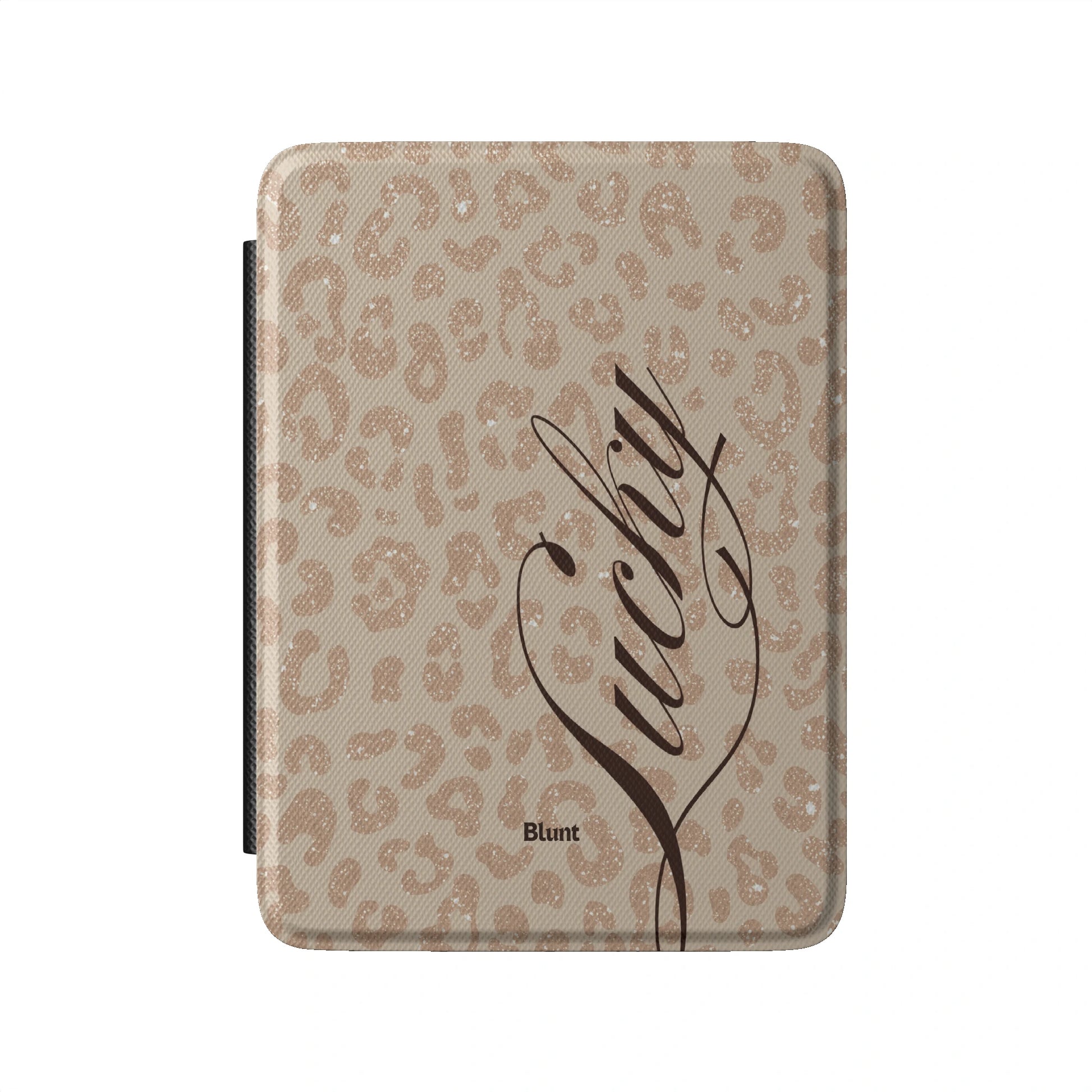 Kindle_Standard_2