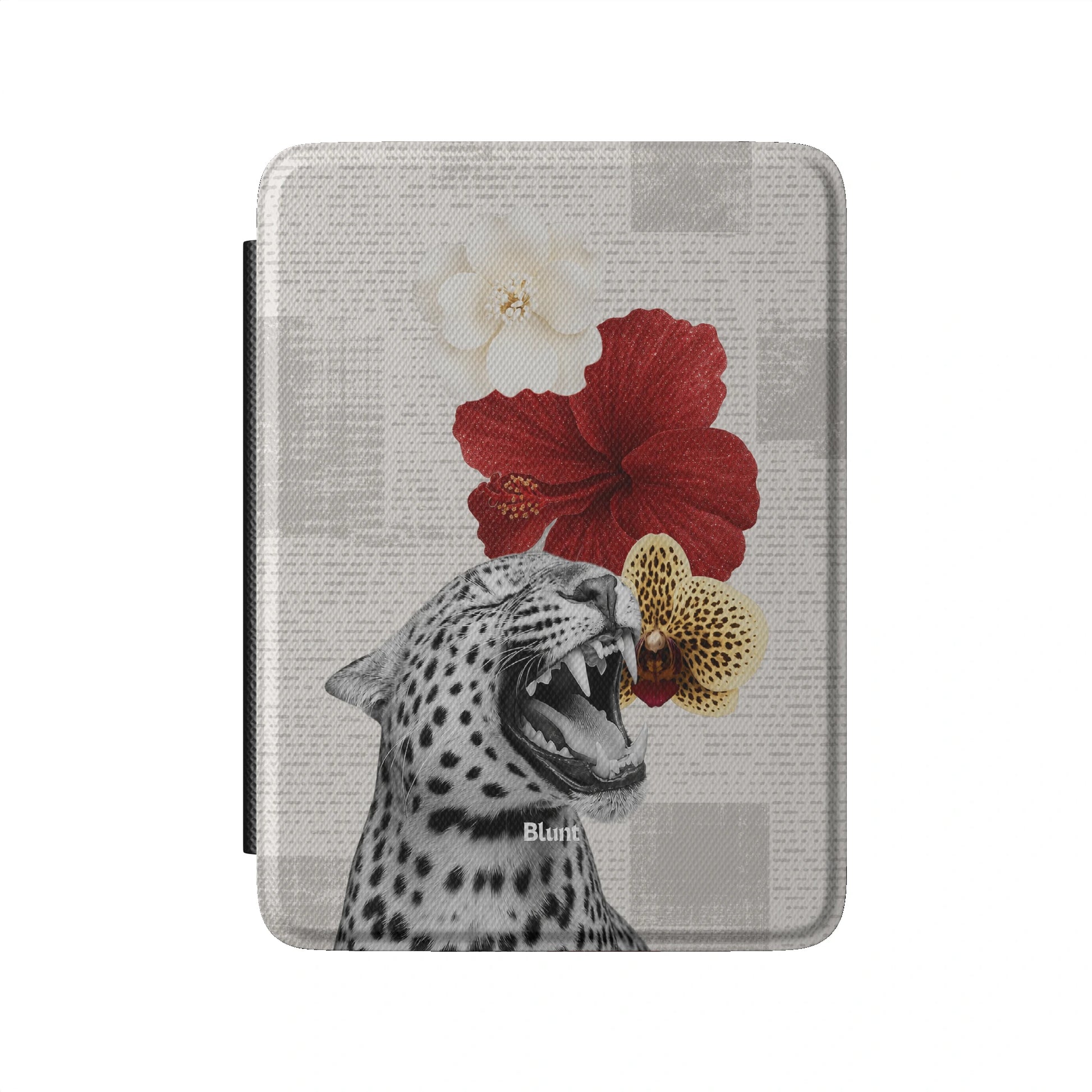 Kindle_Standard_2